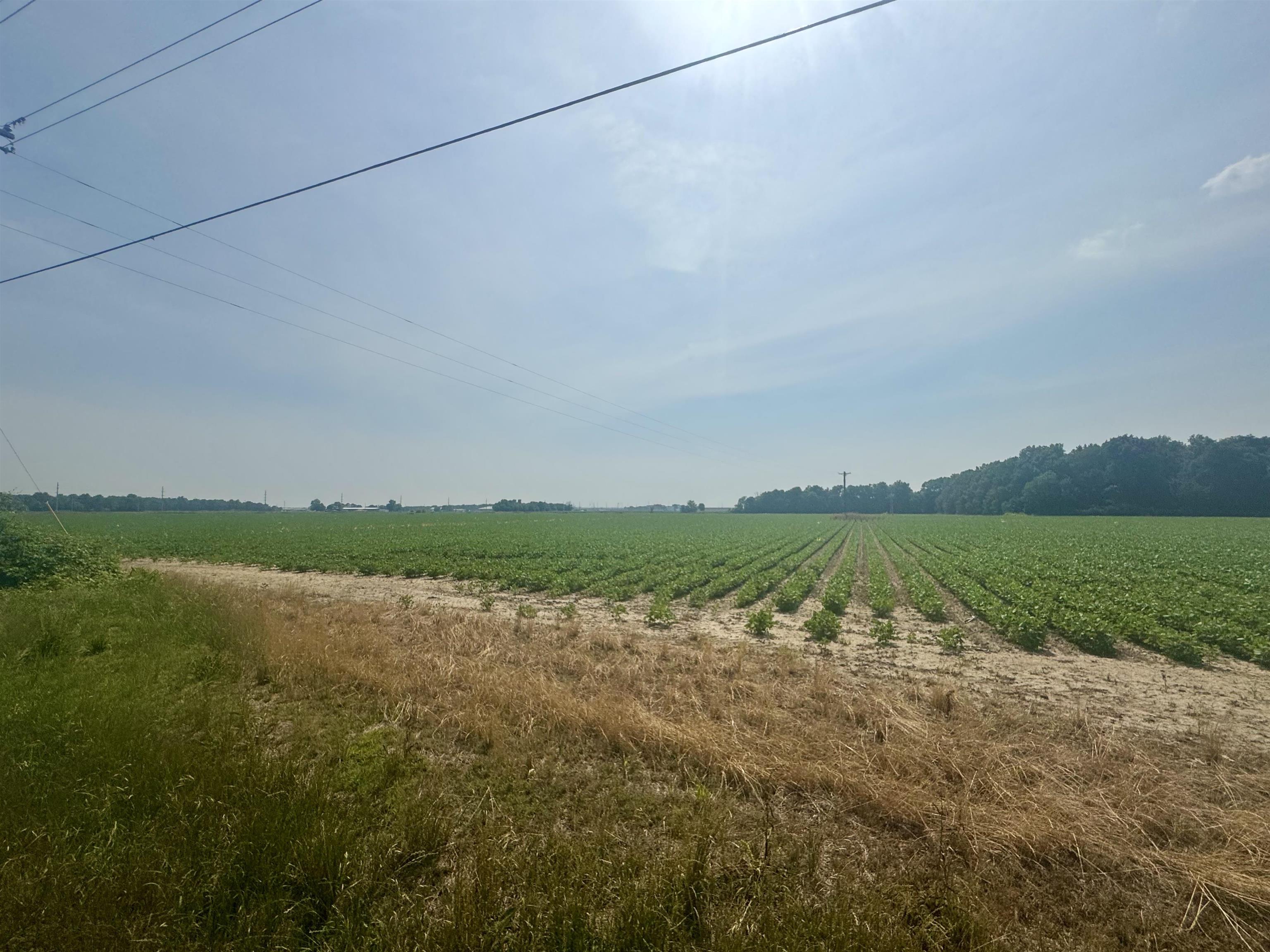 Photo 15 - Vacant Land for sale – 2709  Heath   Jonesboro, AR