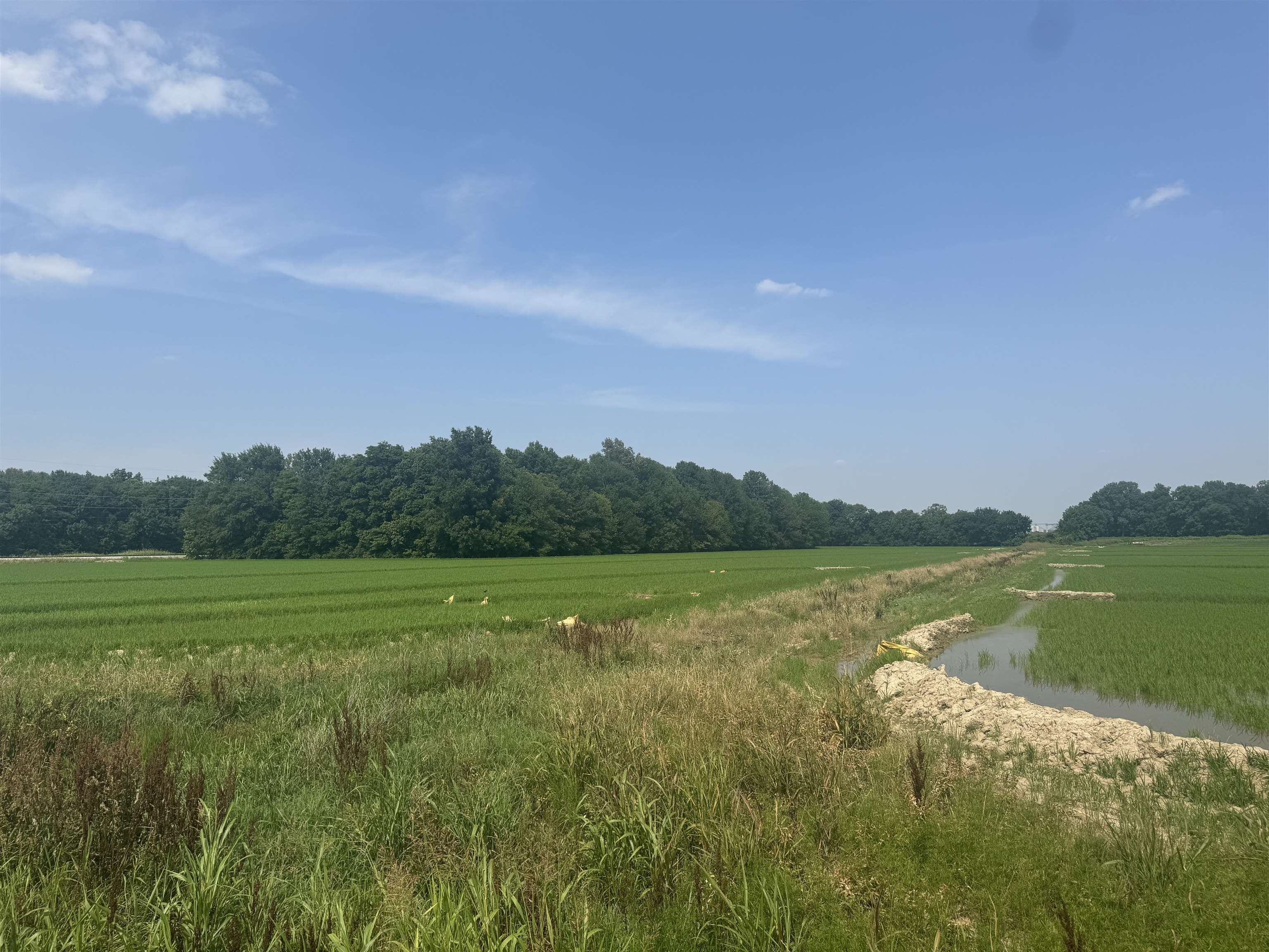 Photo 22 - Vacant Land for sale – 2709  Heath   Jonesboro, AR