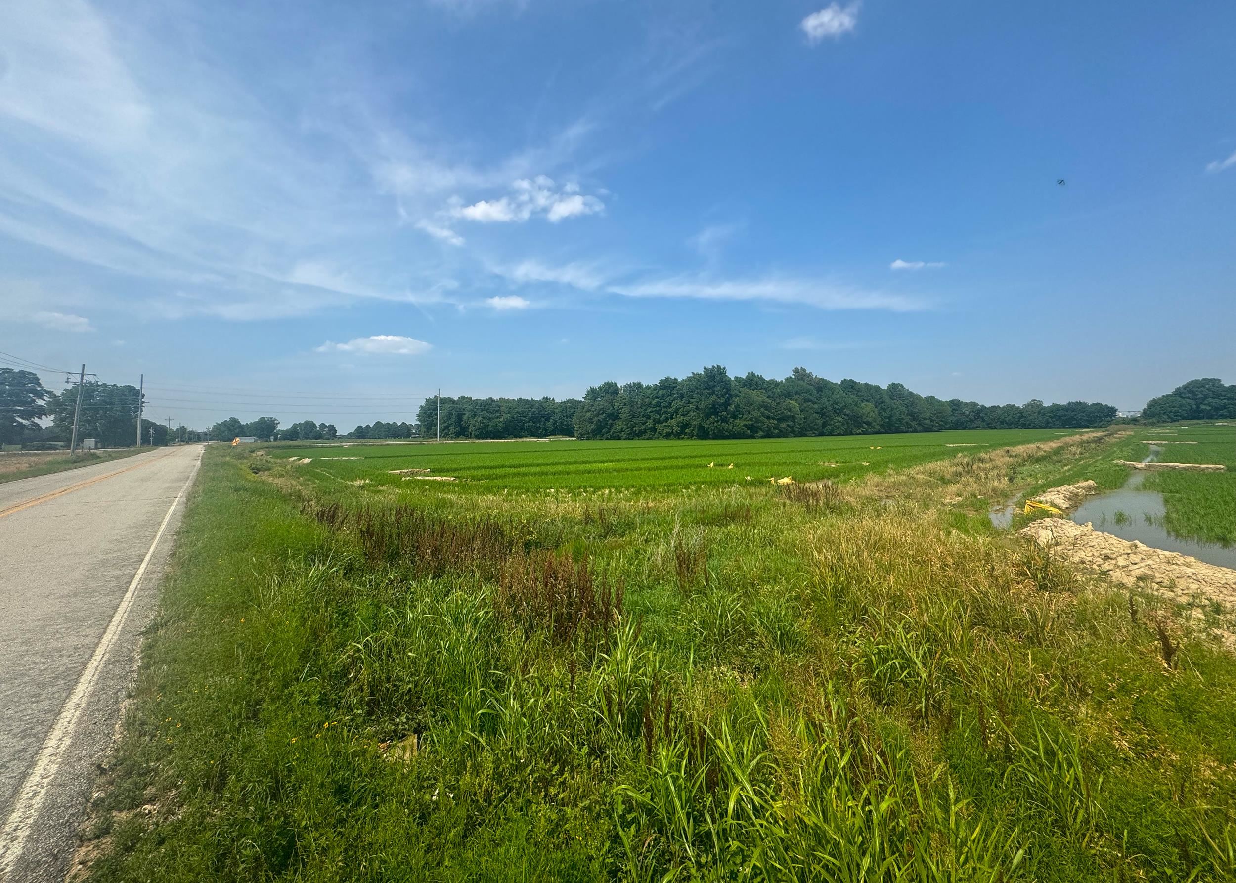 Photo 23 - Vacant Land for sale – 2709  Heath   Jonesboro, AR