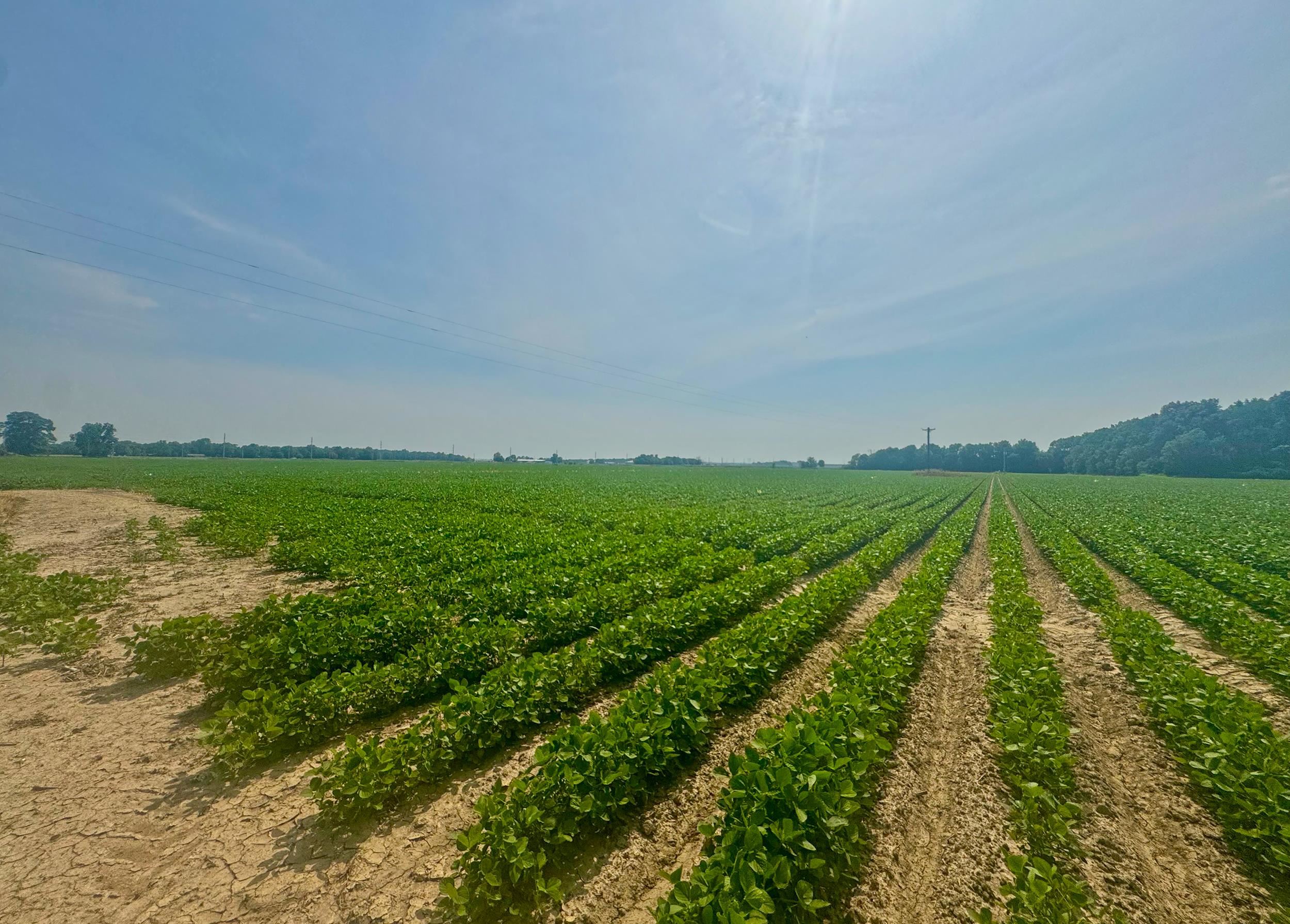 Photo 10 - Vacant Land for sale – 2709  Heath   Jonesboro, AR