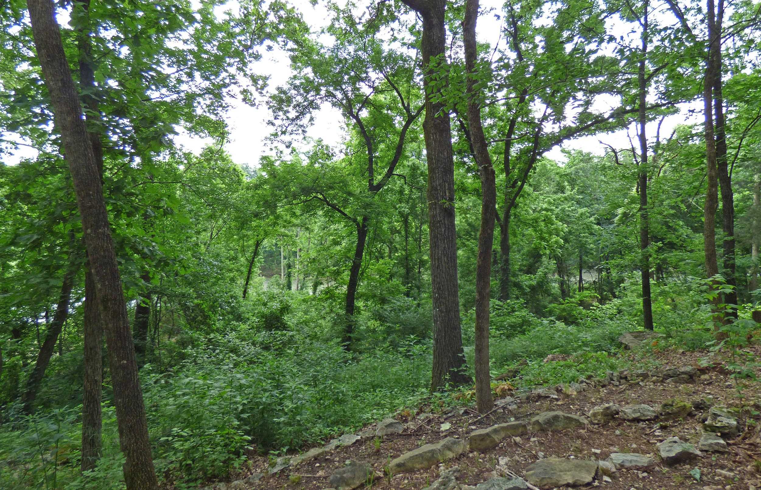 Photo 27 - Residential for sale – 1  Minentonka   Cherokee Village, AR