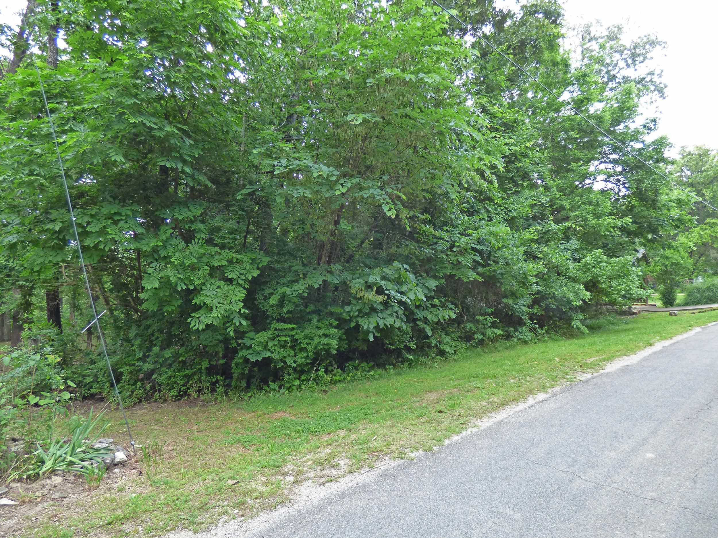 Photo 30 - Residential for sale – 1  Minentonka   Cherokee Village, AR