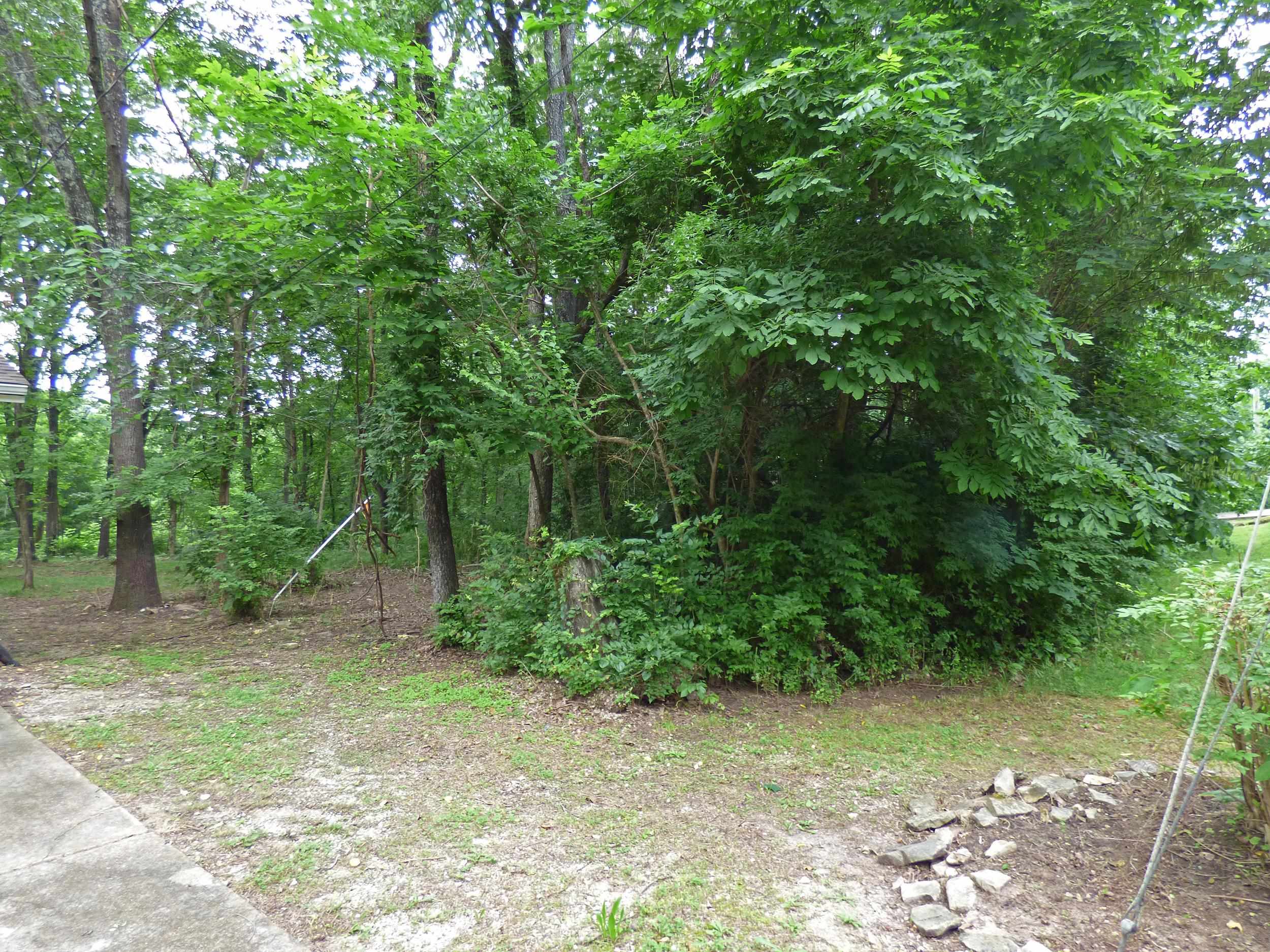 Photo 31 - Residential for sale – 1  Minentonka   Cherokee Village, AR