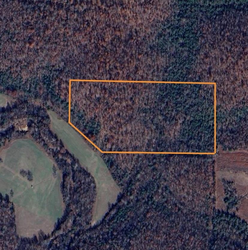 Photo 2 - Vacant Land for sale – TBD  Ridgewood Lane   Salem, AR