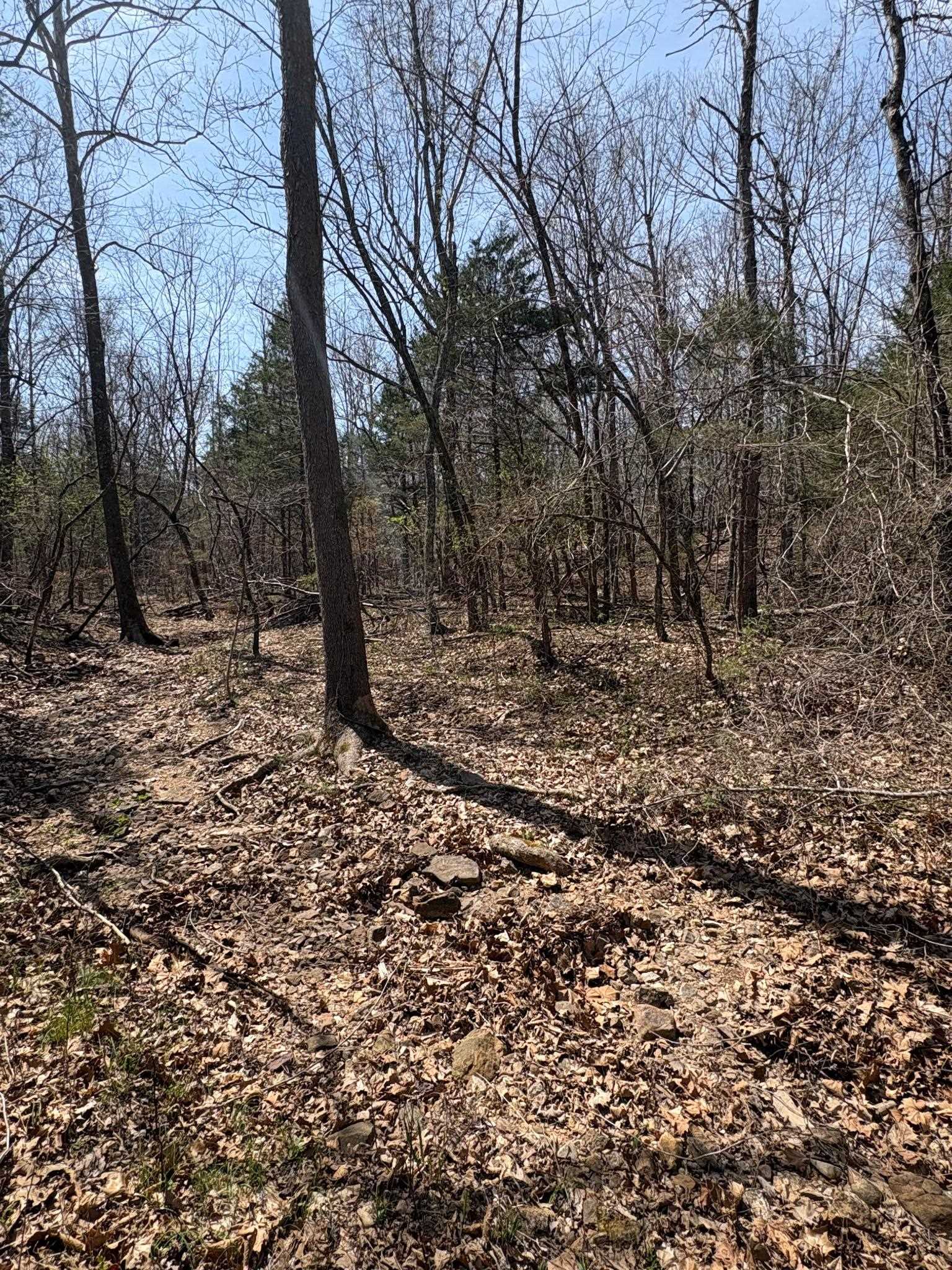 Photo 11 - Vacant Land for sale – TBD  Ridgewood Lane   Salem, AR