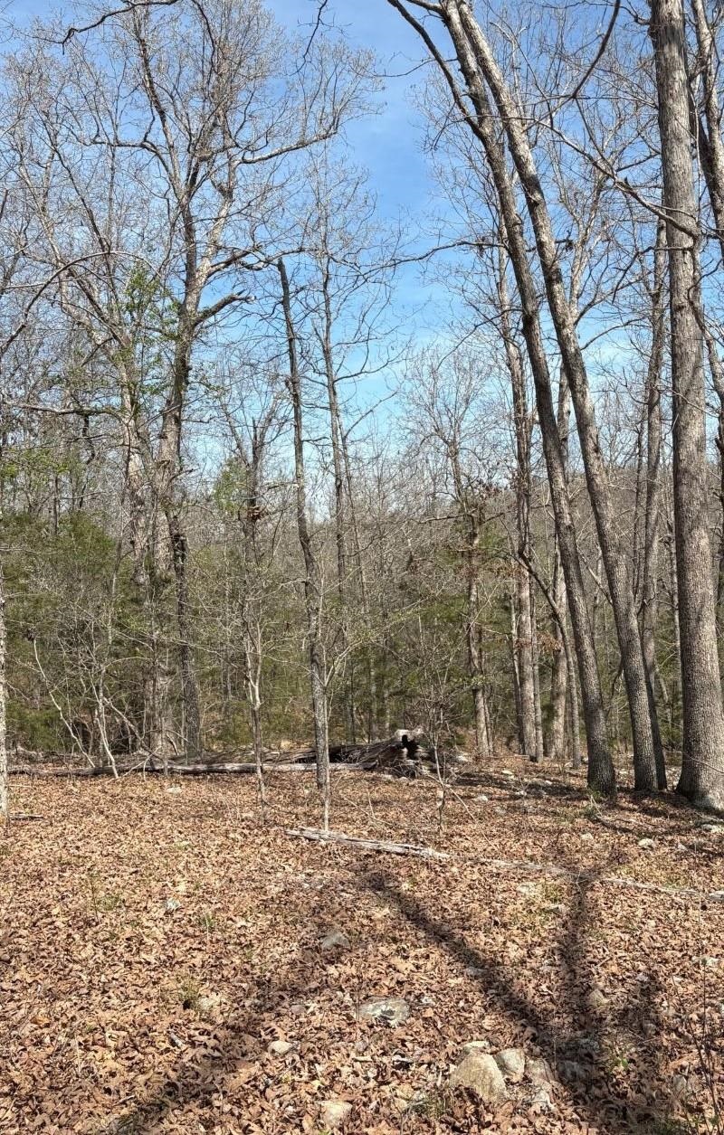 Photo 12 - Vacant Land for sale – TBD  Ridgewood Lane   Salem, AR