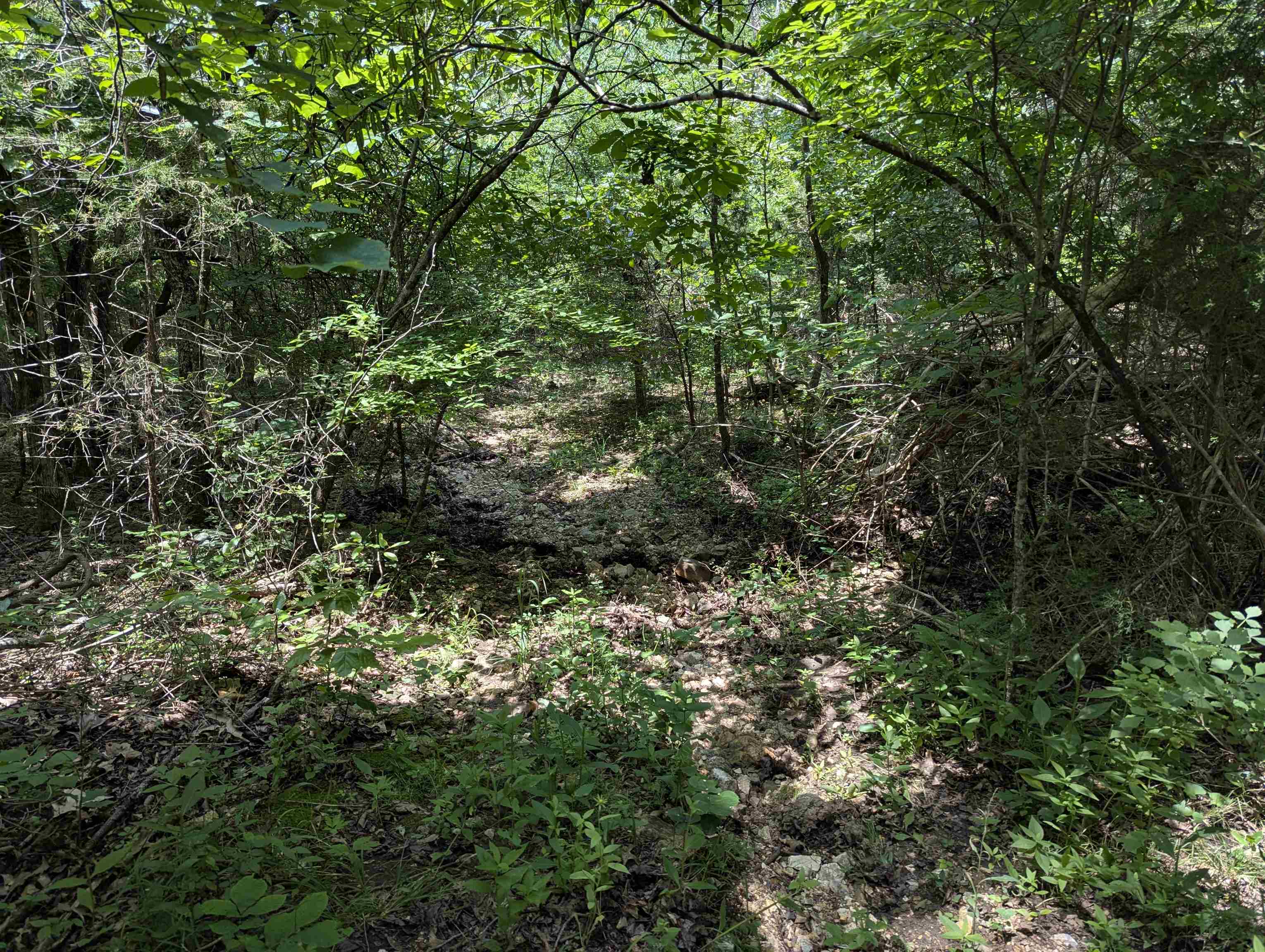 Photo 5 - Vacant Land for sale – TBD  Ridgewood Lane   Salem, AR