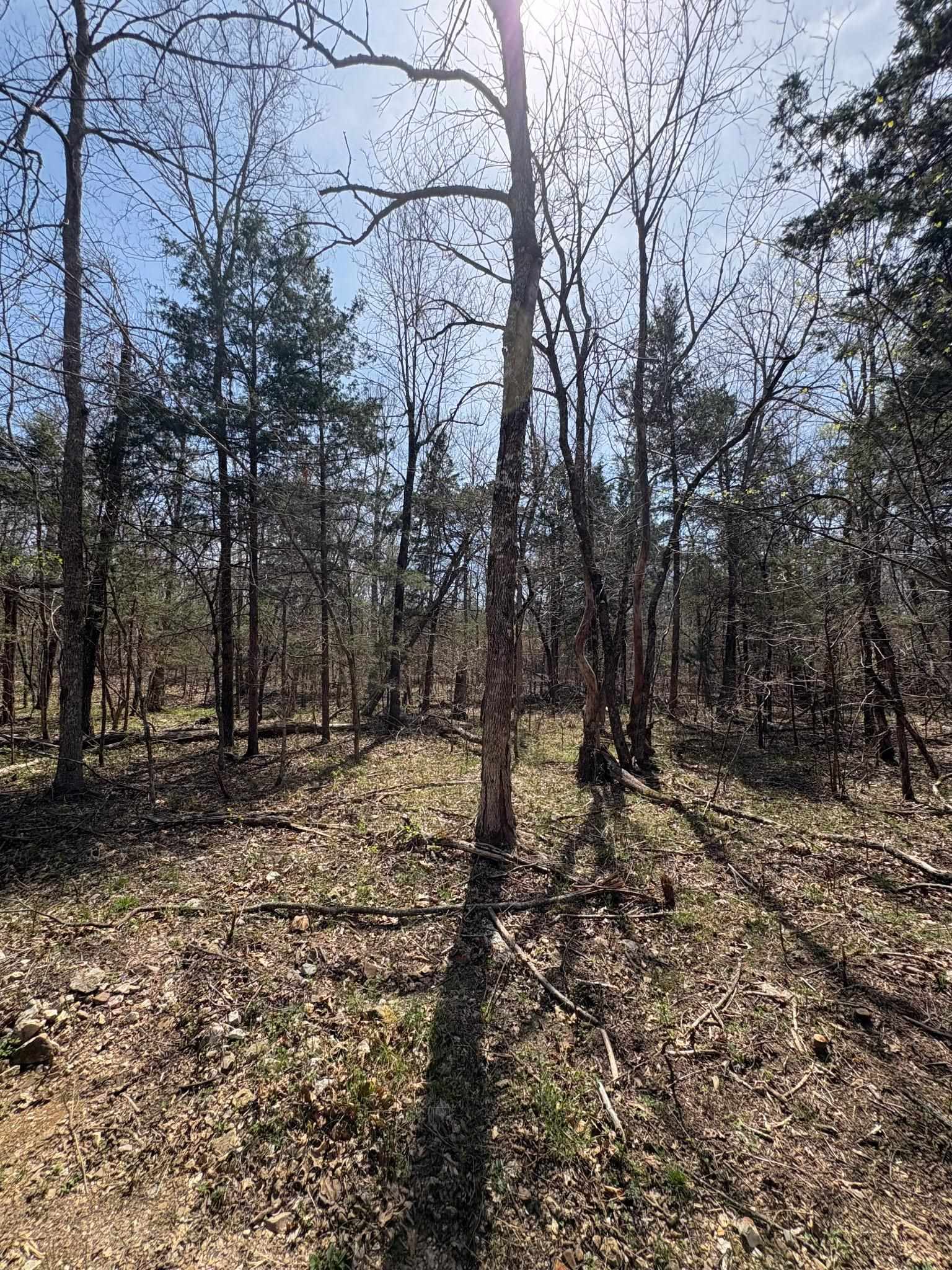 Photo 9 - Vacant Land for sale – TBD  Ridgewood Lane   Salem, AR