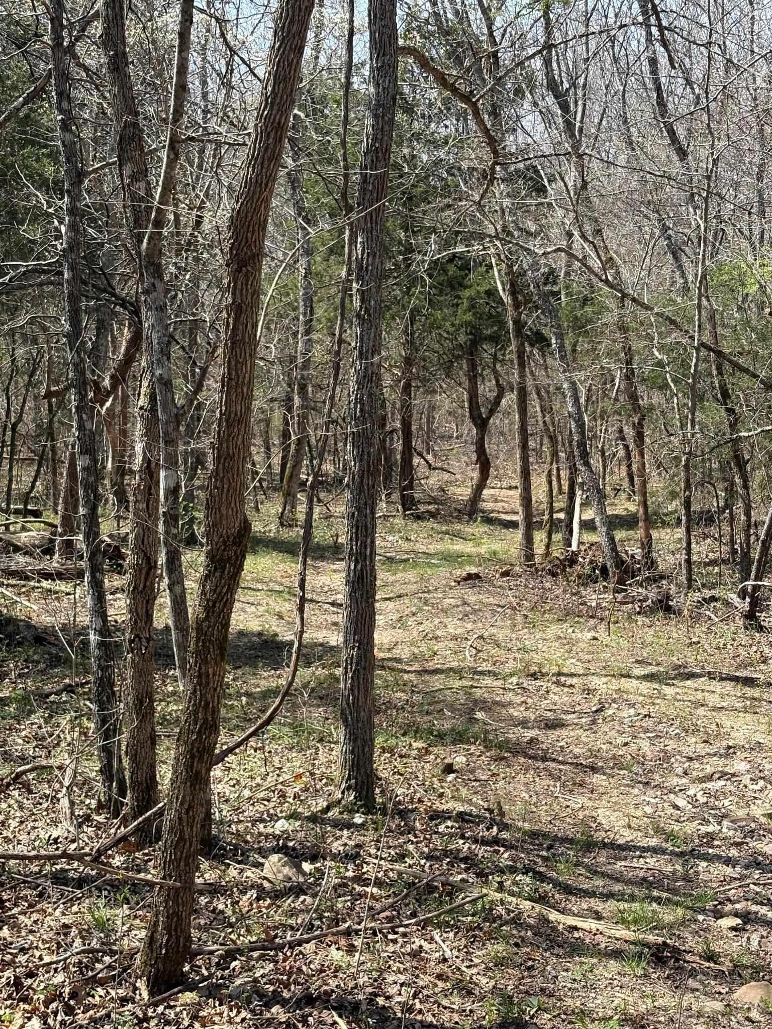Photo 10 - Vacant Land for sale – TBD  Ridgewood Lane   Salem, AR