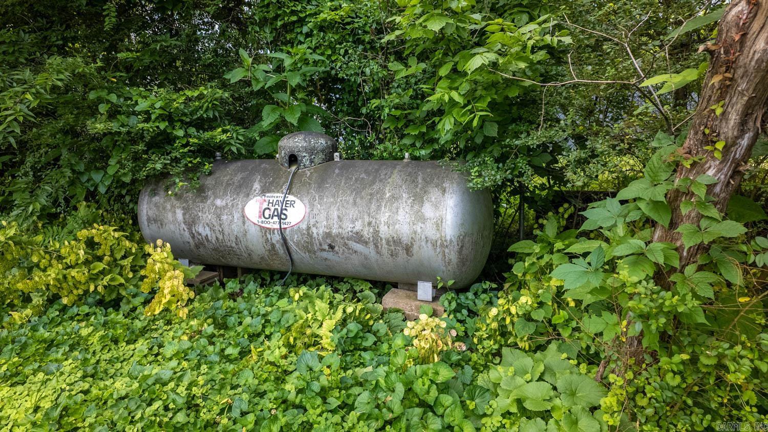 Photo 44 - Residential for sale – 1160  Bethel Avenue   Mammoth Spring, AR