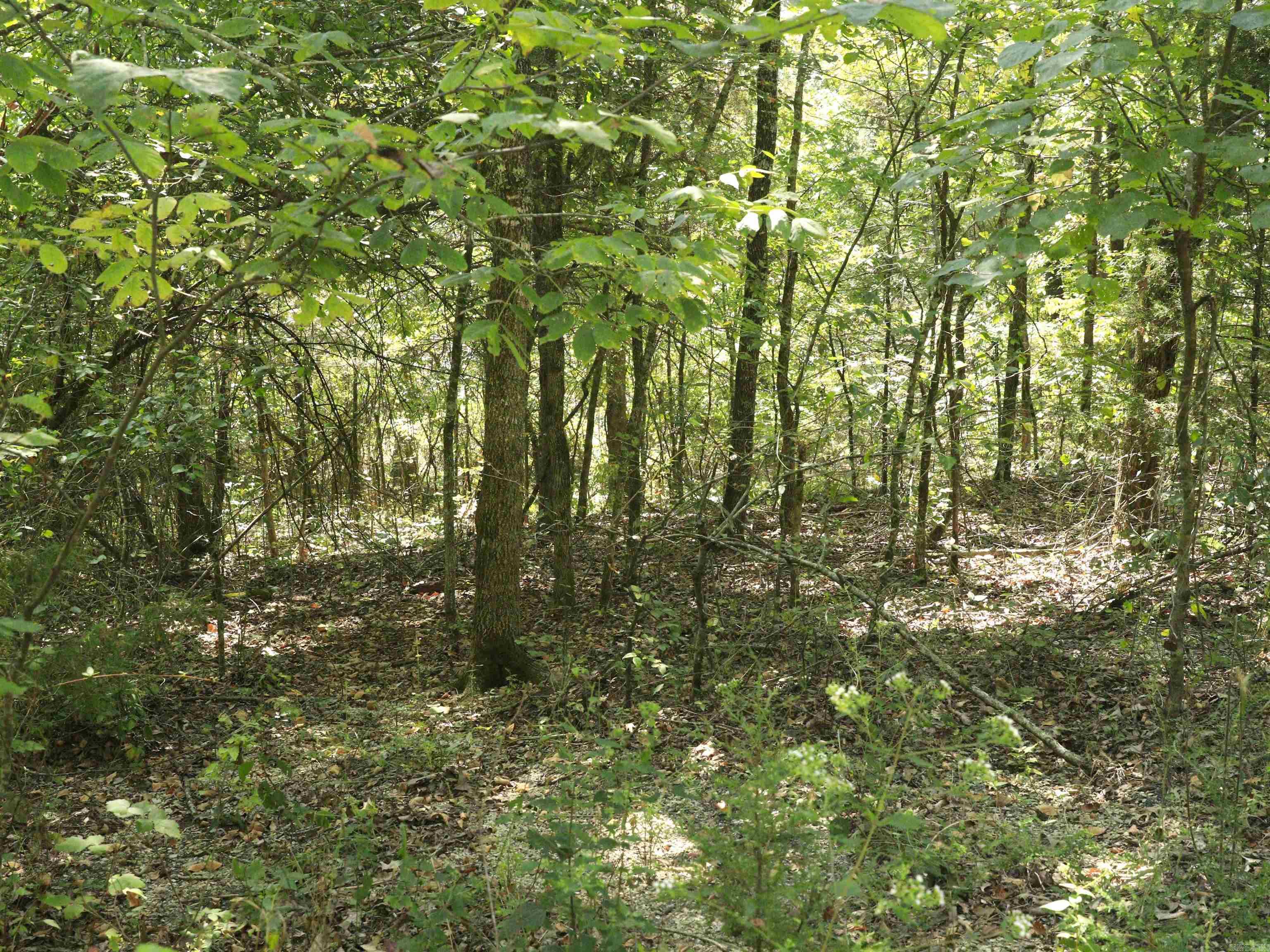 Photo 2 - Vacant Land for sale – 210 E Bo Peep   Horseshoe Bend, AR
