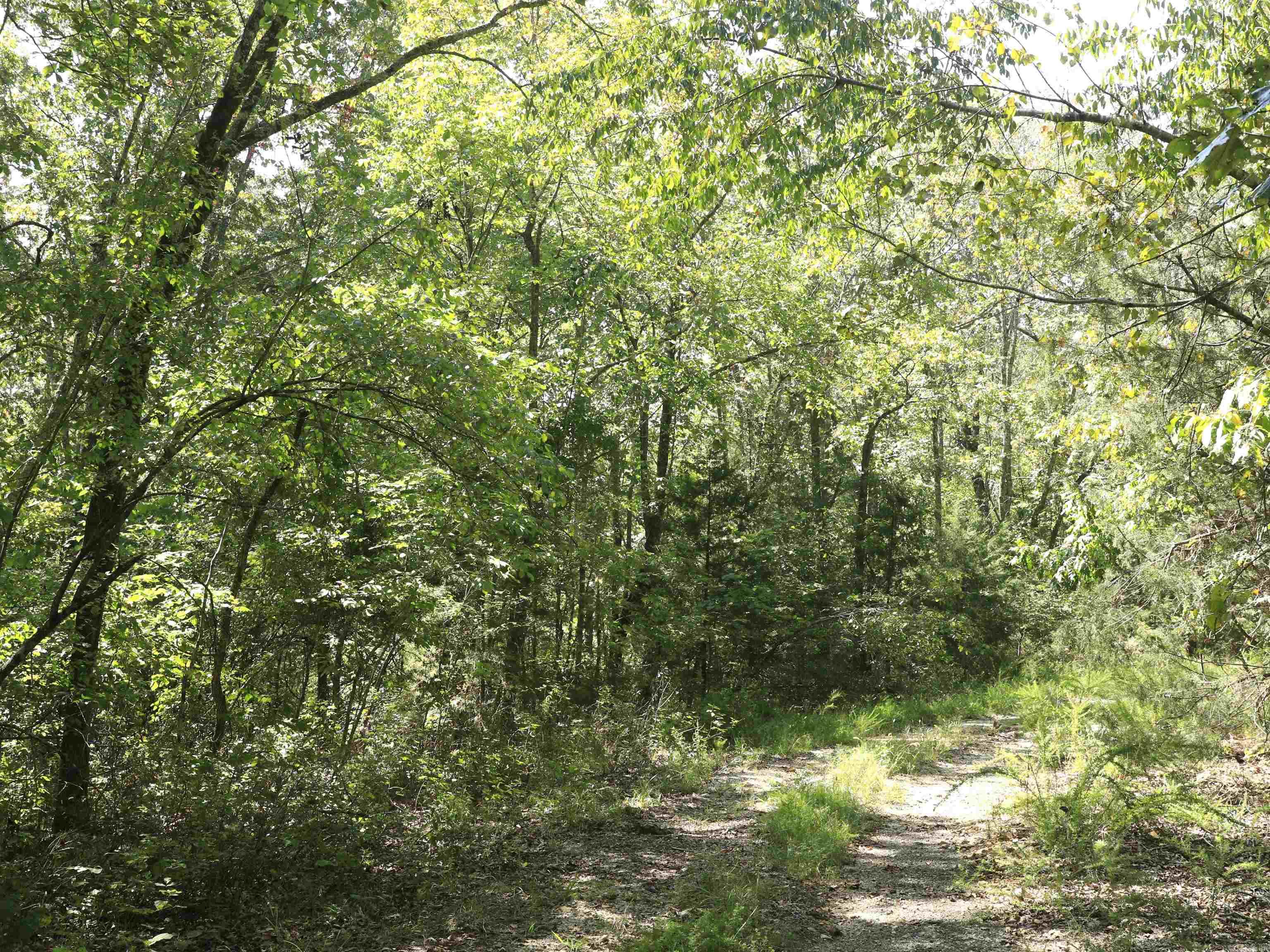 Photo 3 - Vacant Land for sale – 210 E Bo Peep   Horseshoe Bend, AR