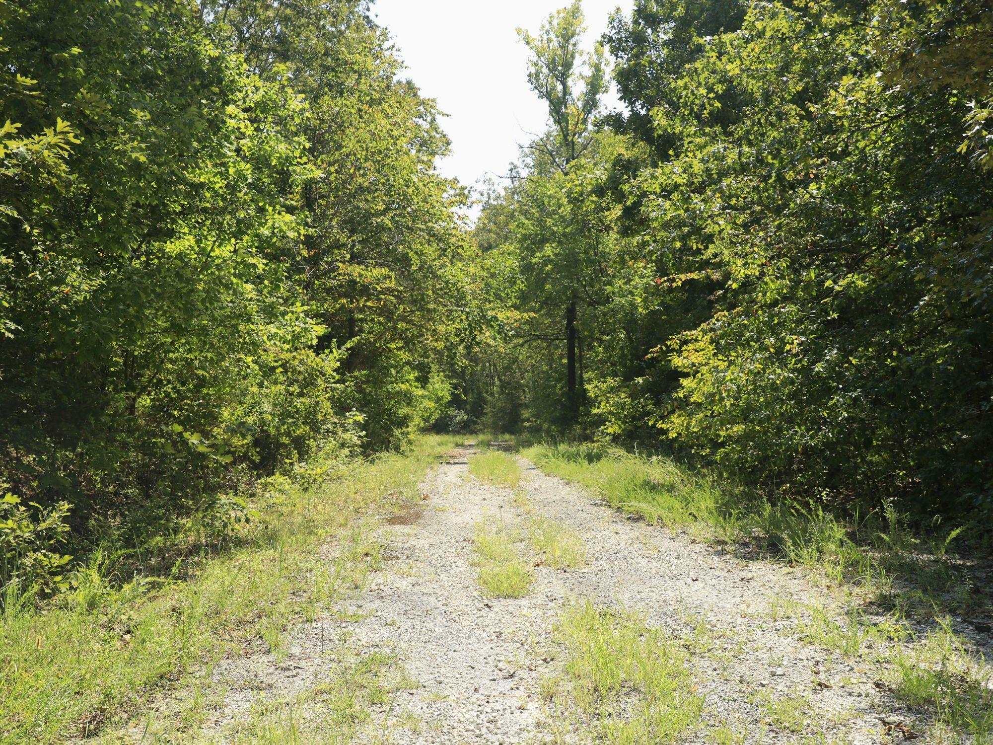 Photo 4 - Vacant Land for sale – 210 E Bo Peep   Horseshoe Bend, AR