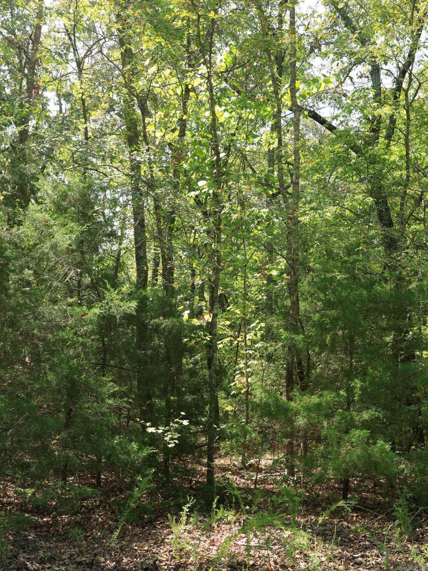 Photo 5 - Vacant Land for sale – 210 E Bo Peep   Horseshoe Bend, AR