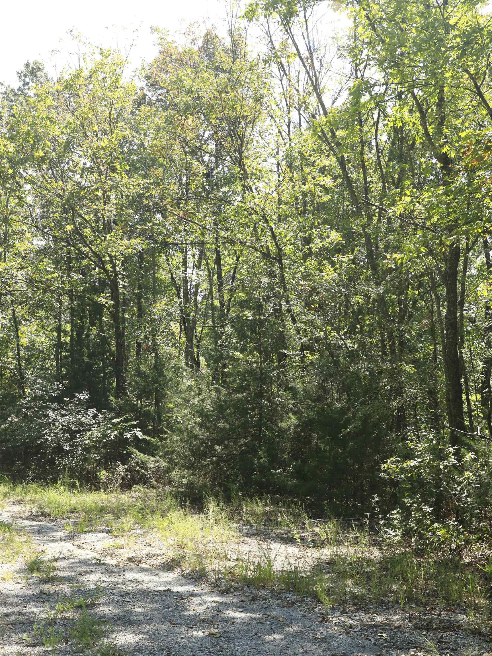 Photo 6 - Vacant Land for sale – 210 E Bo Peep   Horseshoe Bend, AR