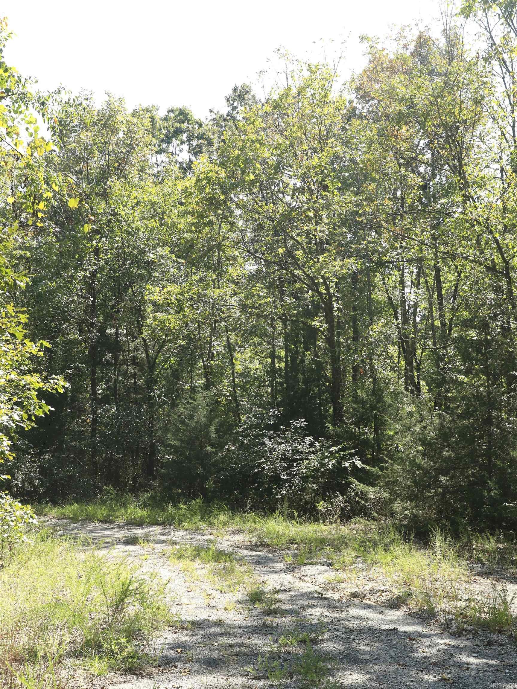 Photo 7 - Vacant Land for sale – 210 E Bo Peep   Horseshoe Bend, AR