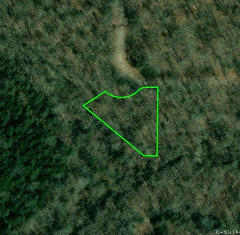 Photo 8 - Vacant Land for sale – 210 E Bo Peep   Horseshoe Bend, AR