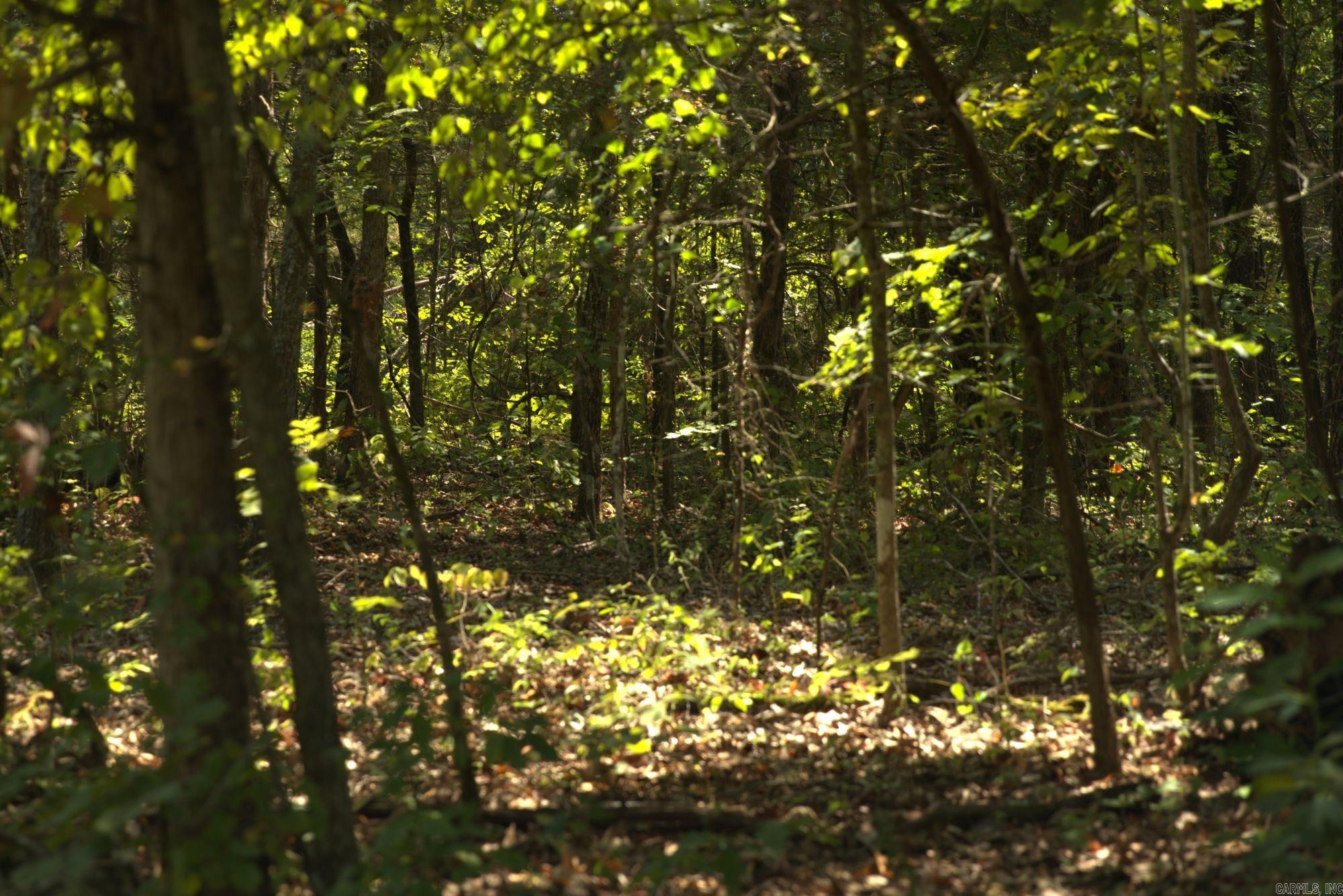 Photo 2 - Vacant Land for sale – 1505  Blackbird   Horseshoe Bend, AR