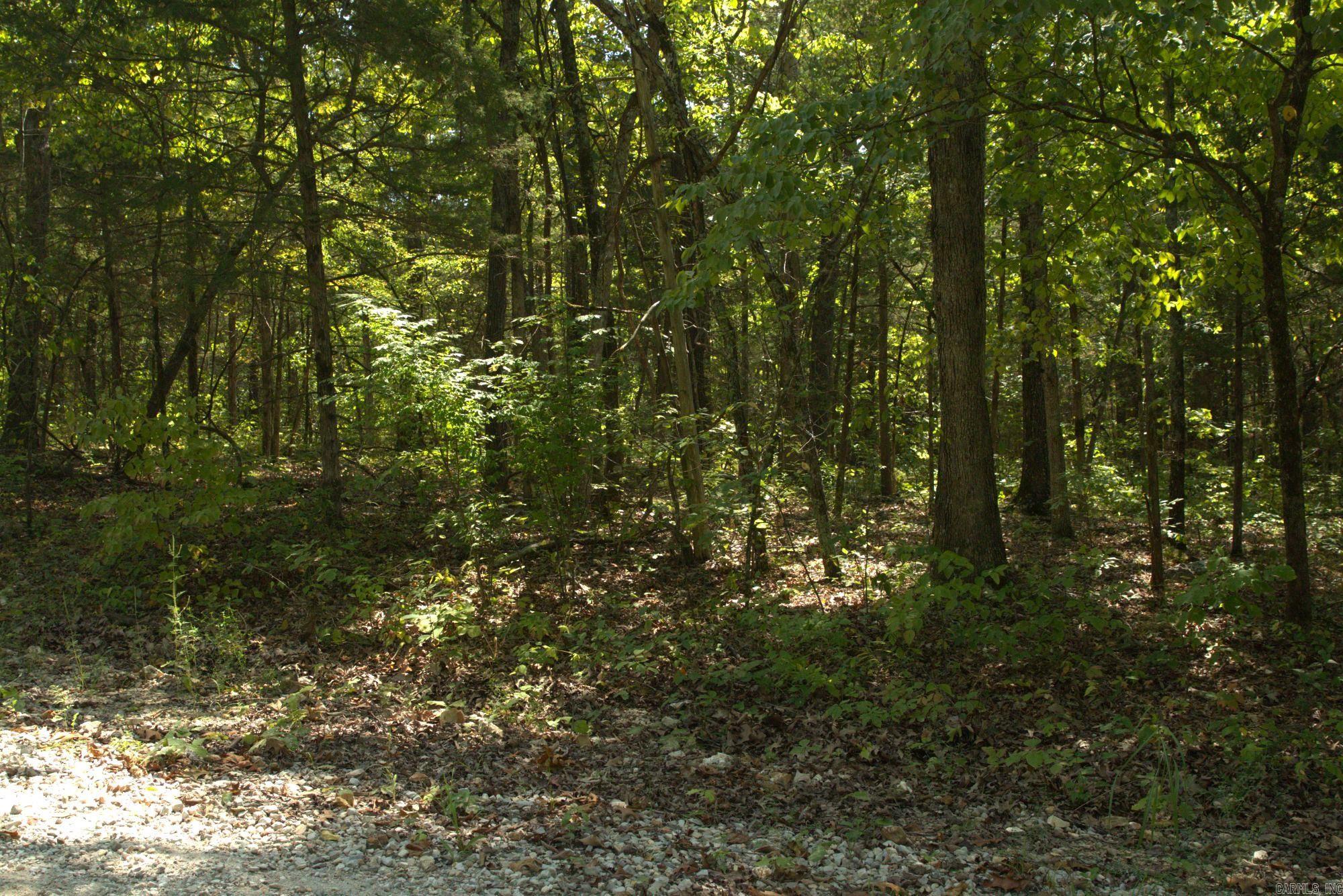 Photo 3 - Vacant Land for sale – 1505  Blackbird   Horseshoe Bend, AR