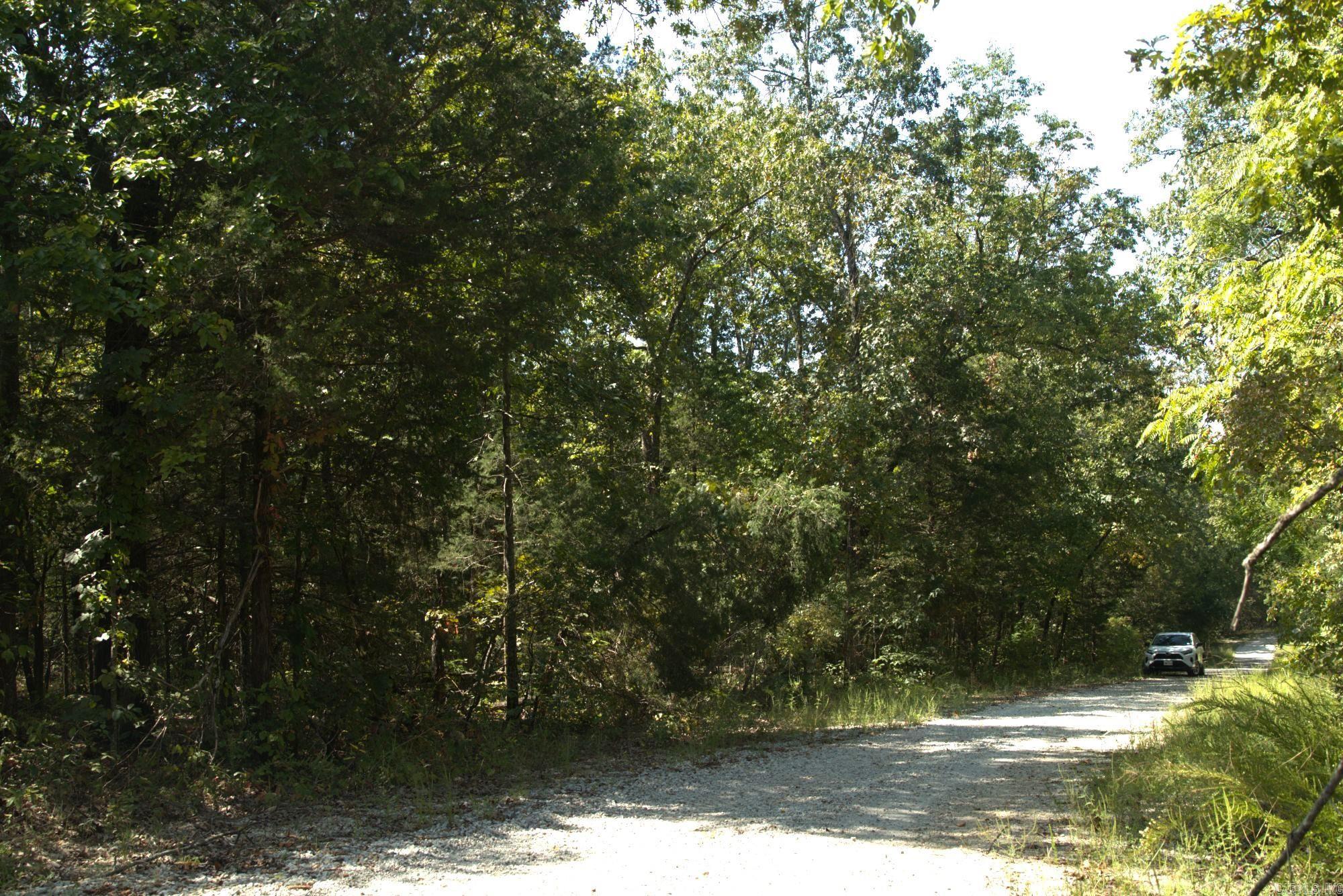 Photo 4 - Vacant Land for sale – 1505  Blackbird   Horseshoe Bend, AR