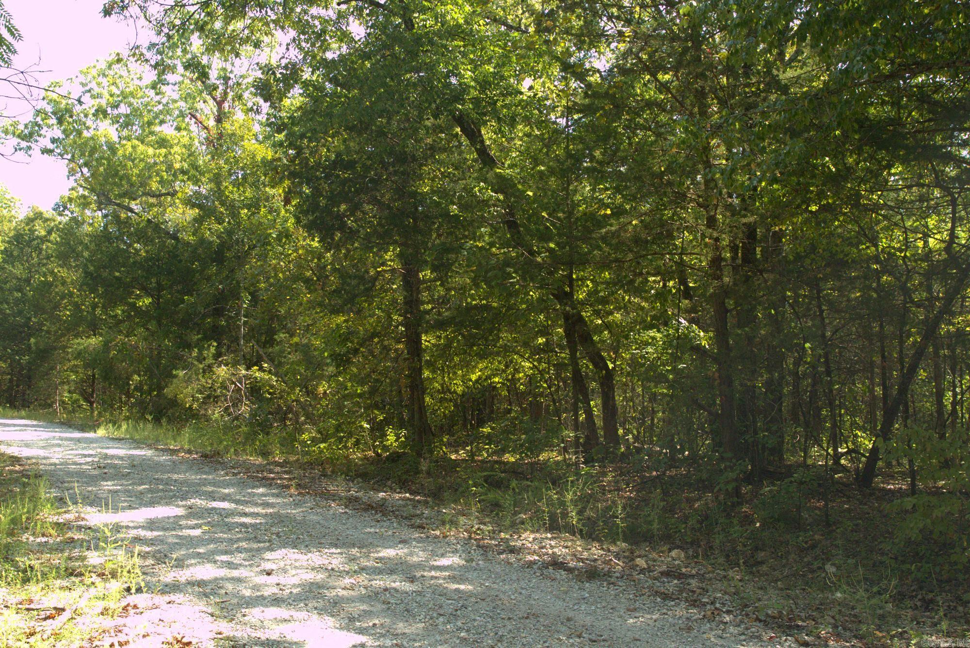 Photo 5 - Vacant Land for sale – 1505  Blackbird   Horseshoe Bend, AR