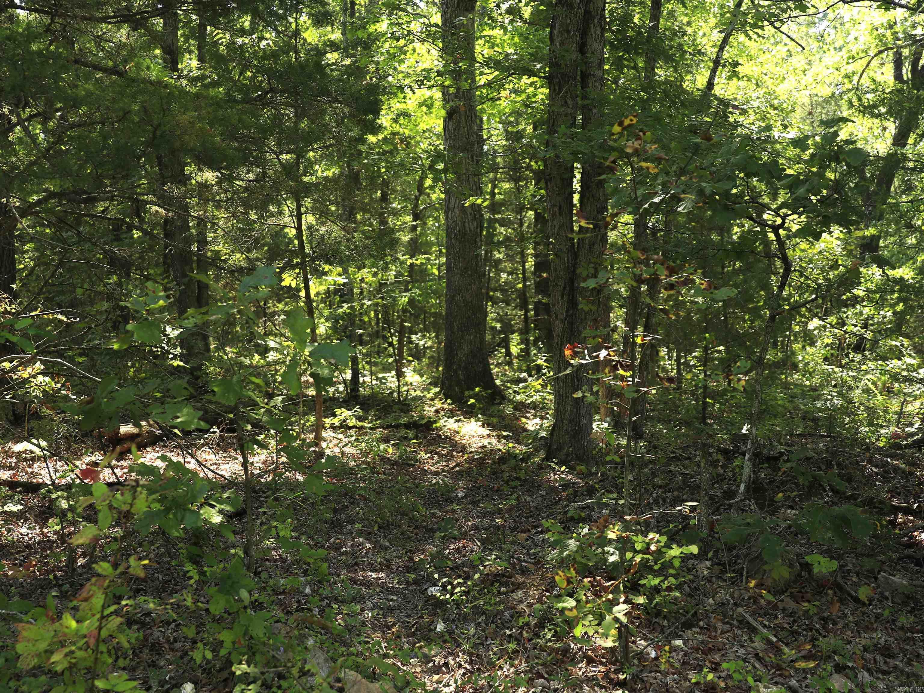Photo 2 - Vacant Land for sale – 602  Catbird   Horseshoe Bend, AR