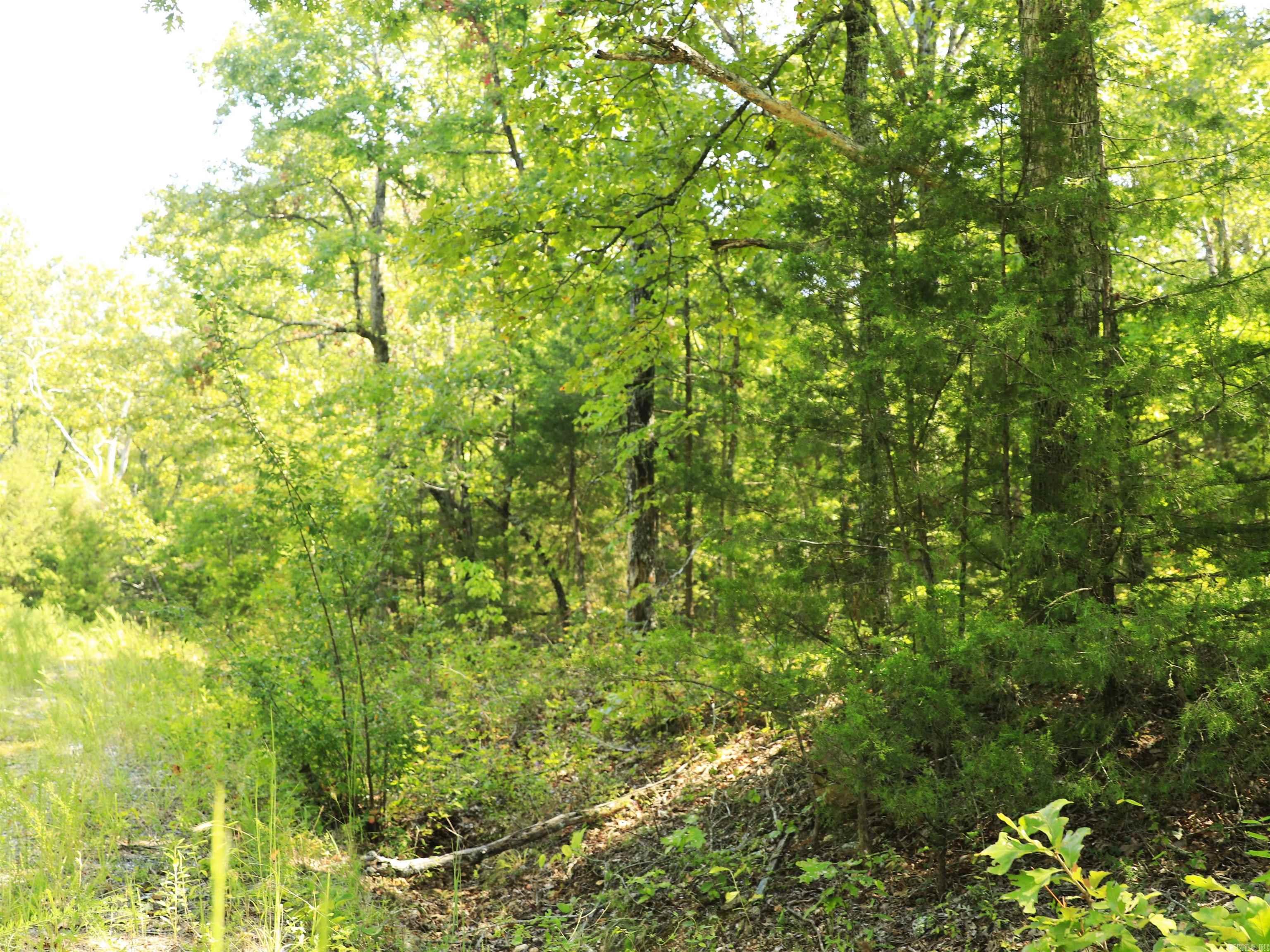 Photo 3 - Vacant Land for sale – 602  Catbird   Horseshoe Bend, AR