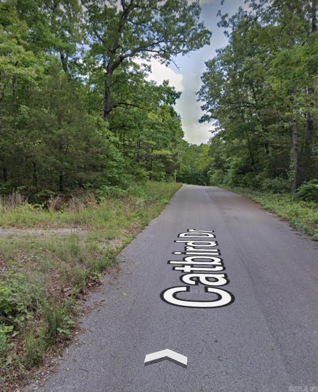 Photo 5 - Vacant Land for sale – 602  Catbird   Horseshoe Bend, AR