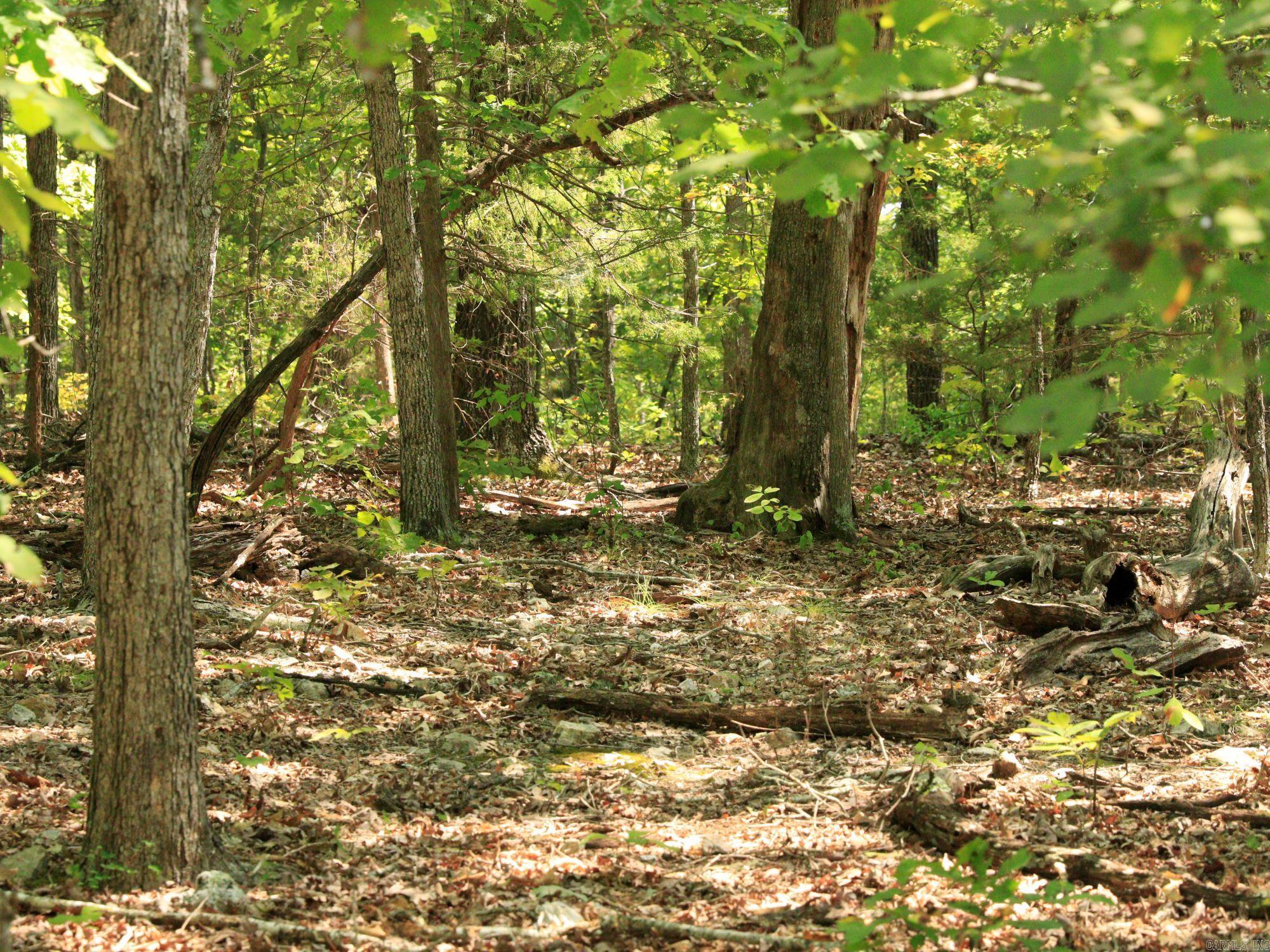 Photo 3 - Vacant Land for sale – 1303  Red Bird   Horseshoe Bend, AR