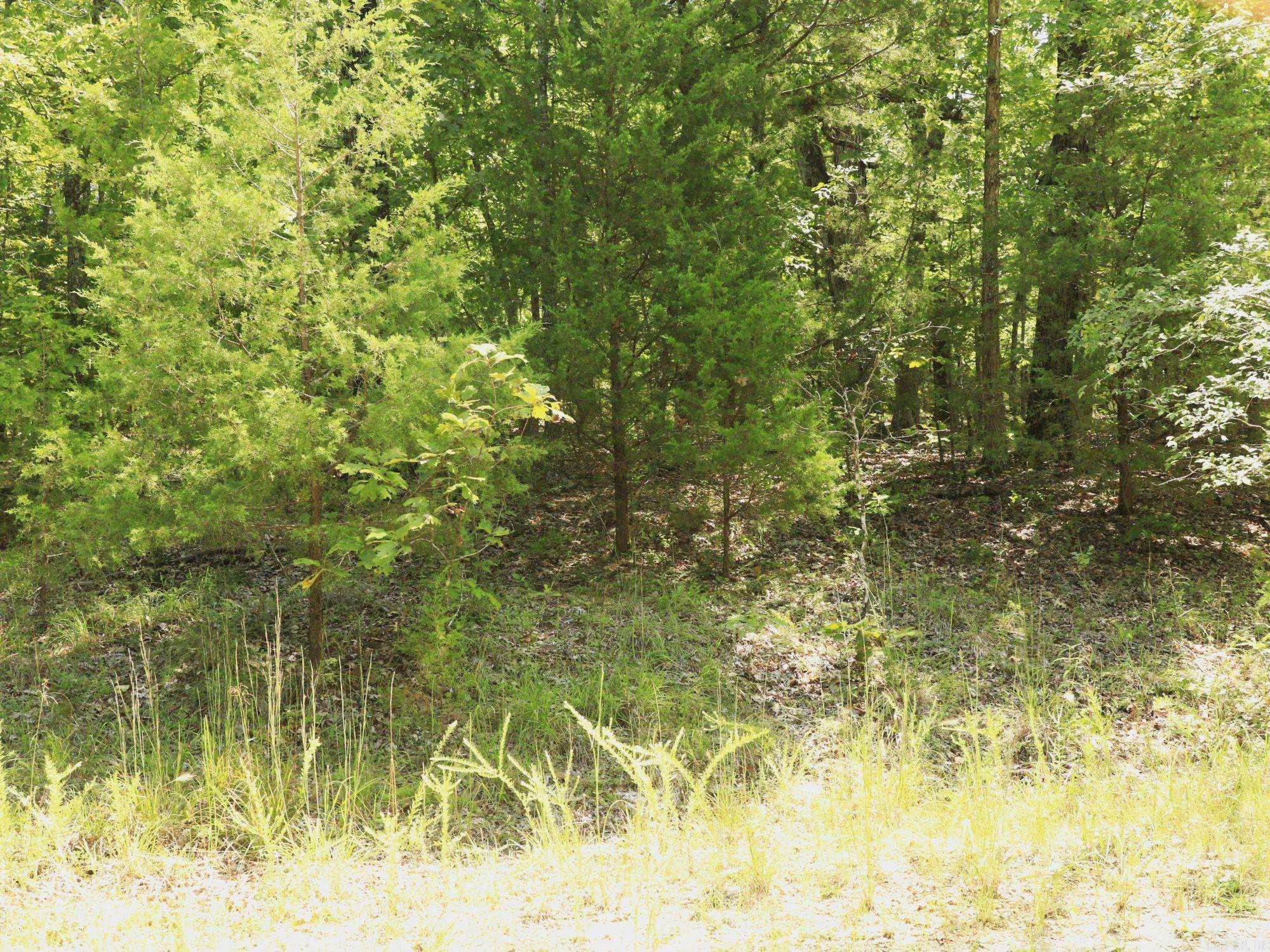 Photo 4 - Vacant Land for sale – 1303  Red Bird   Horseshoe Bend, AR
