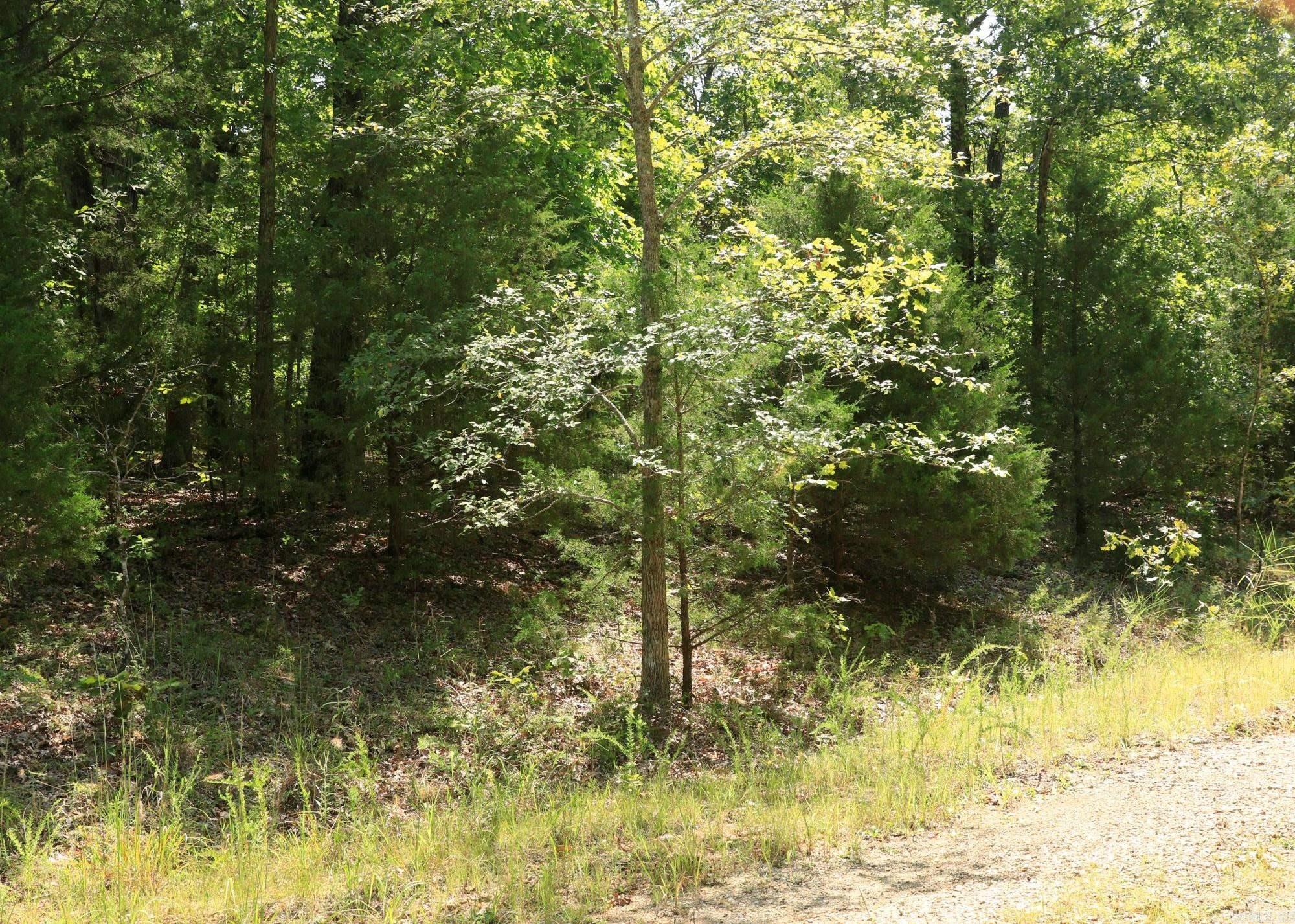 Photo 5 - Vacant Land for sale – 1303  Red Bird   Horseshoe Bend, AR