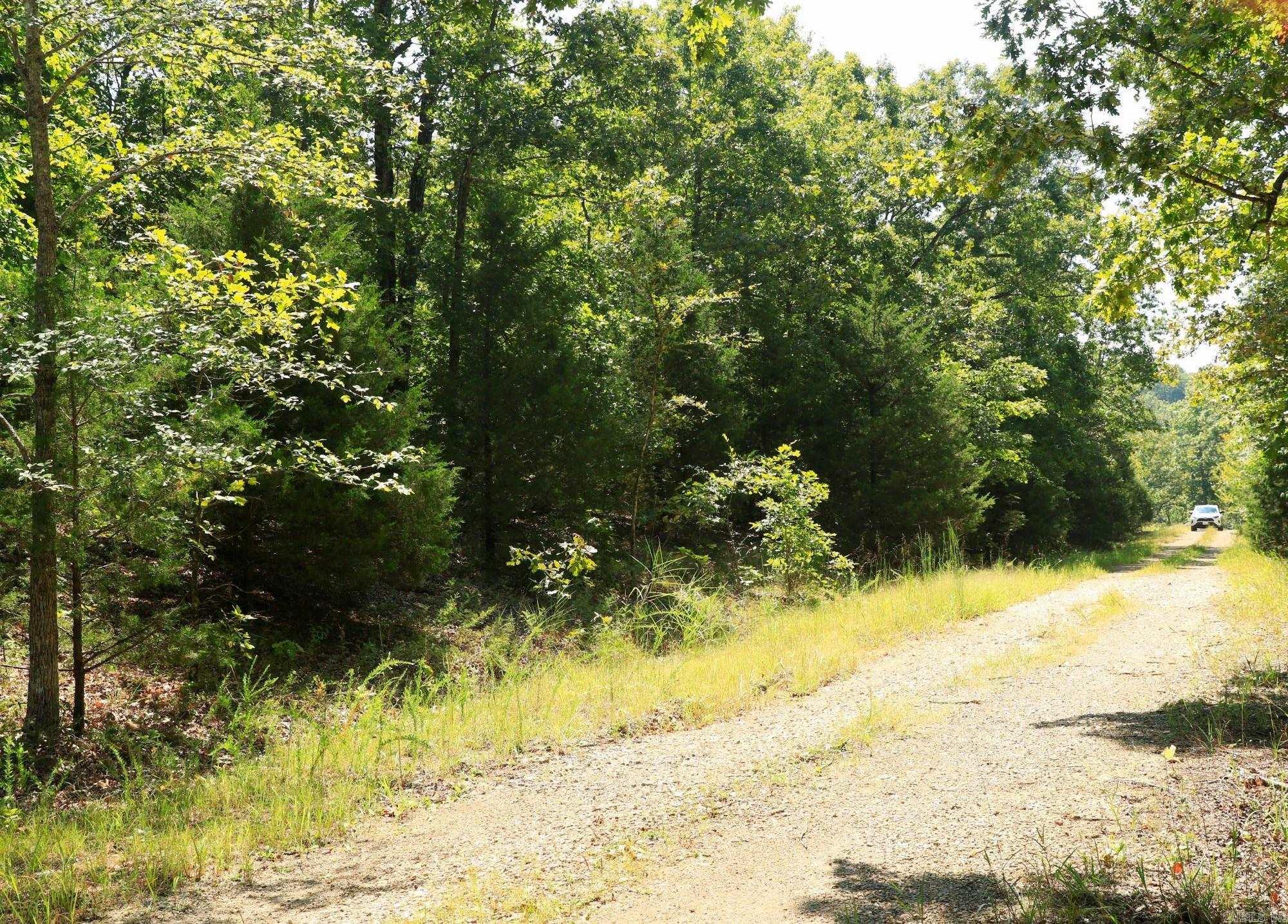 Photo 6 - Vacant Land for sale – 1303  Red Bird   Horseshoe Bend, AR