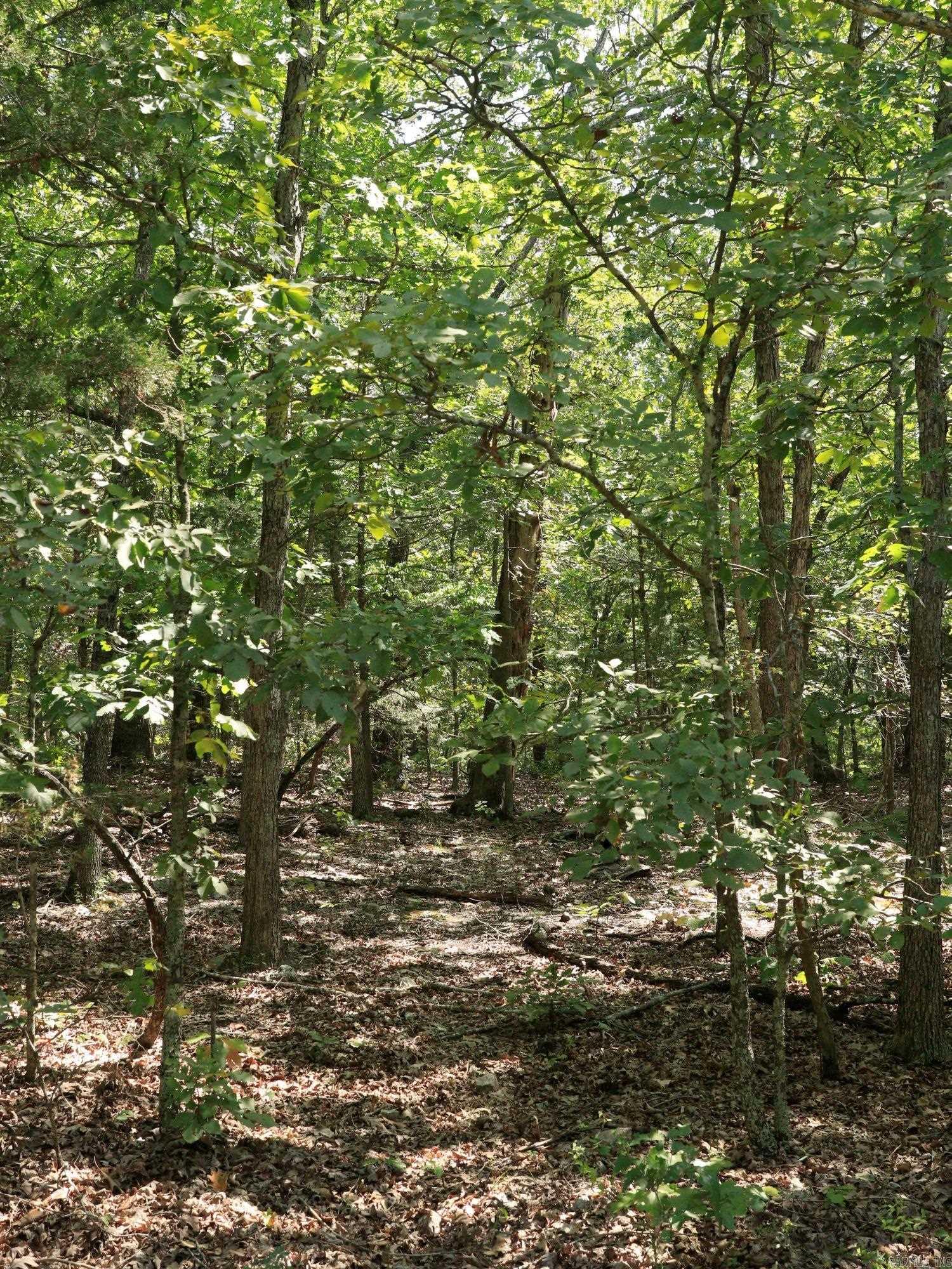 Photo 3 - Vacant Land for sale – 1215  Red Bird   Horseshoe Bend, AR