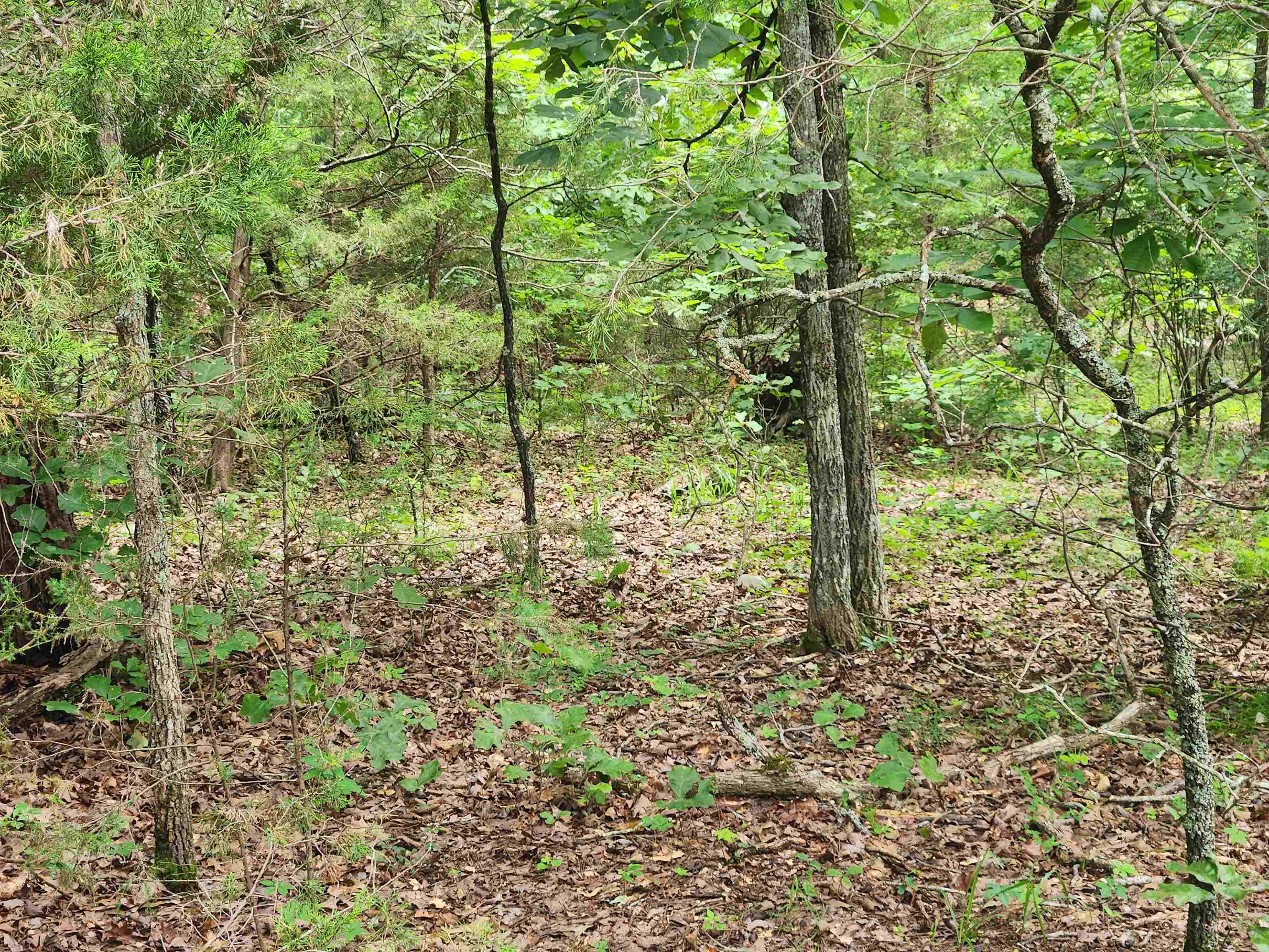 Vacant Land for sale – L21B1  Coyotero   Cherokee Village, AR