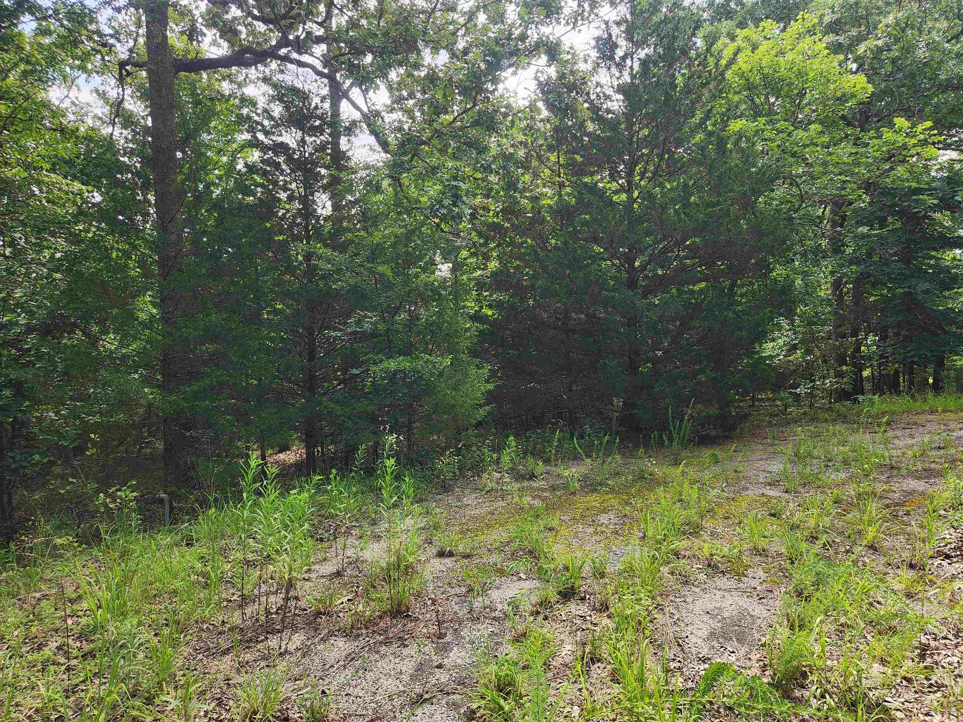 Photo 2 - Vacant Land for sale – L21B1  Coyotero   Cherokee Village, AR