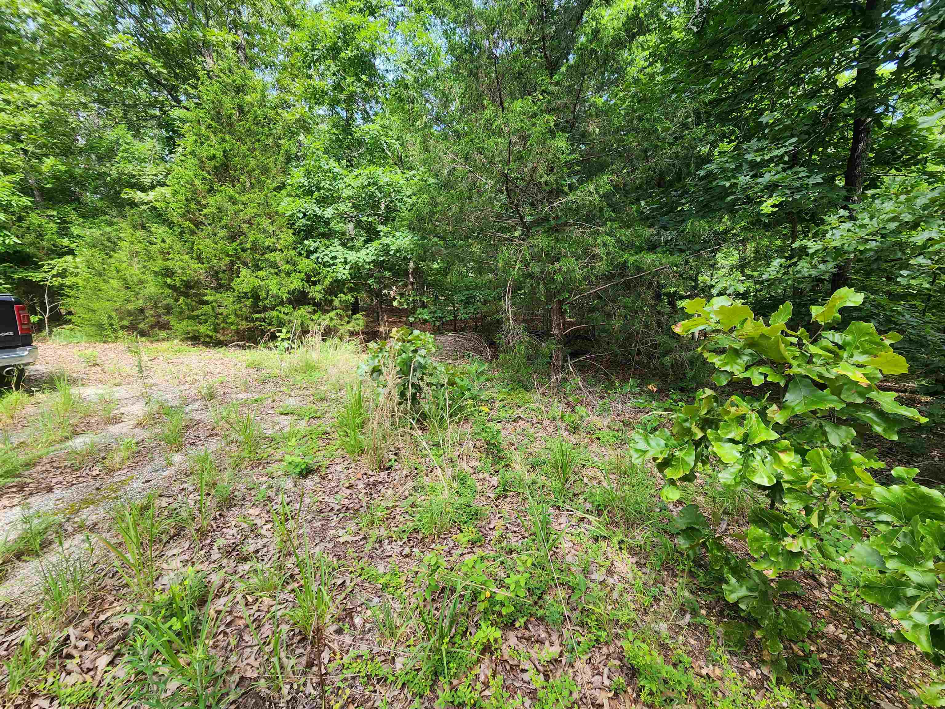 Photo 11 - Vacant Land for sale – L21B1  Coyotero   Cherokee Village, AR