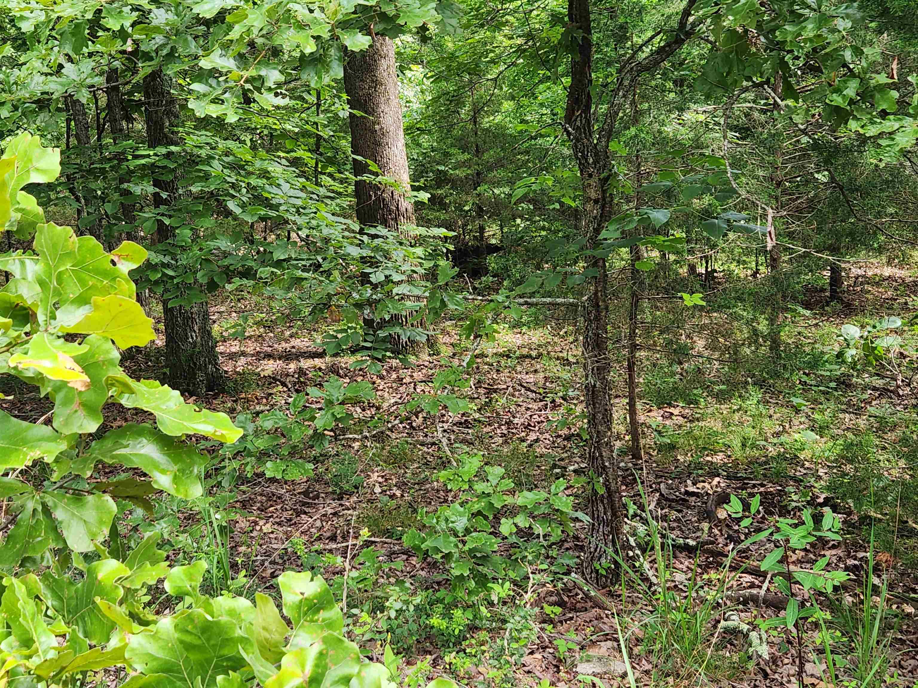 Photo 12 - Vacant Land for sale – L21B1  Coyotero   Cherokee Village, AR