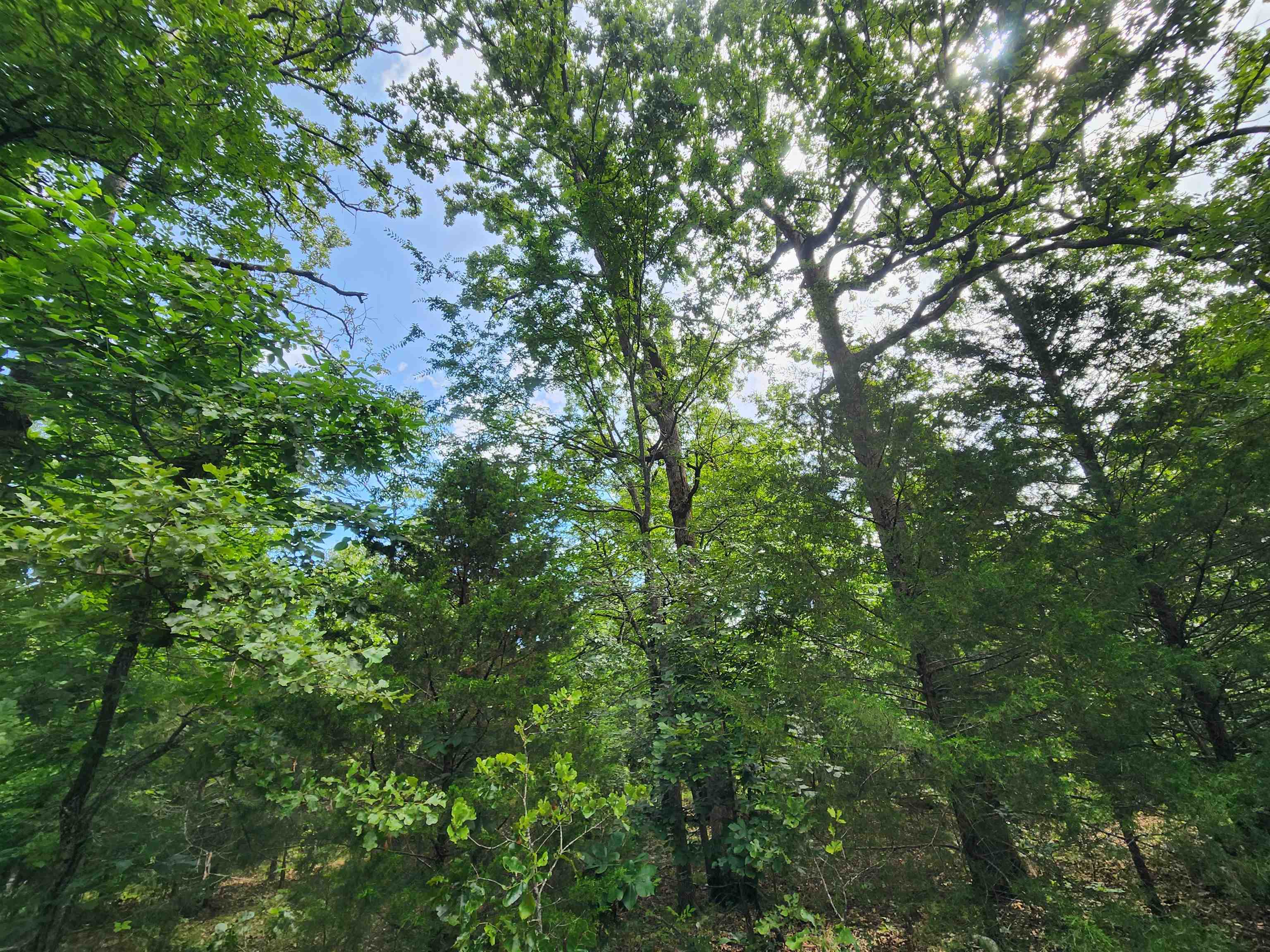 Photo 15 - Vacant Land for sale – L21B1  Coyotero   Cherokee Village, AR