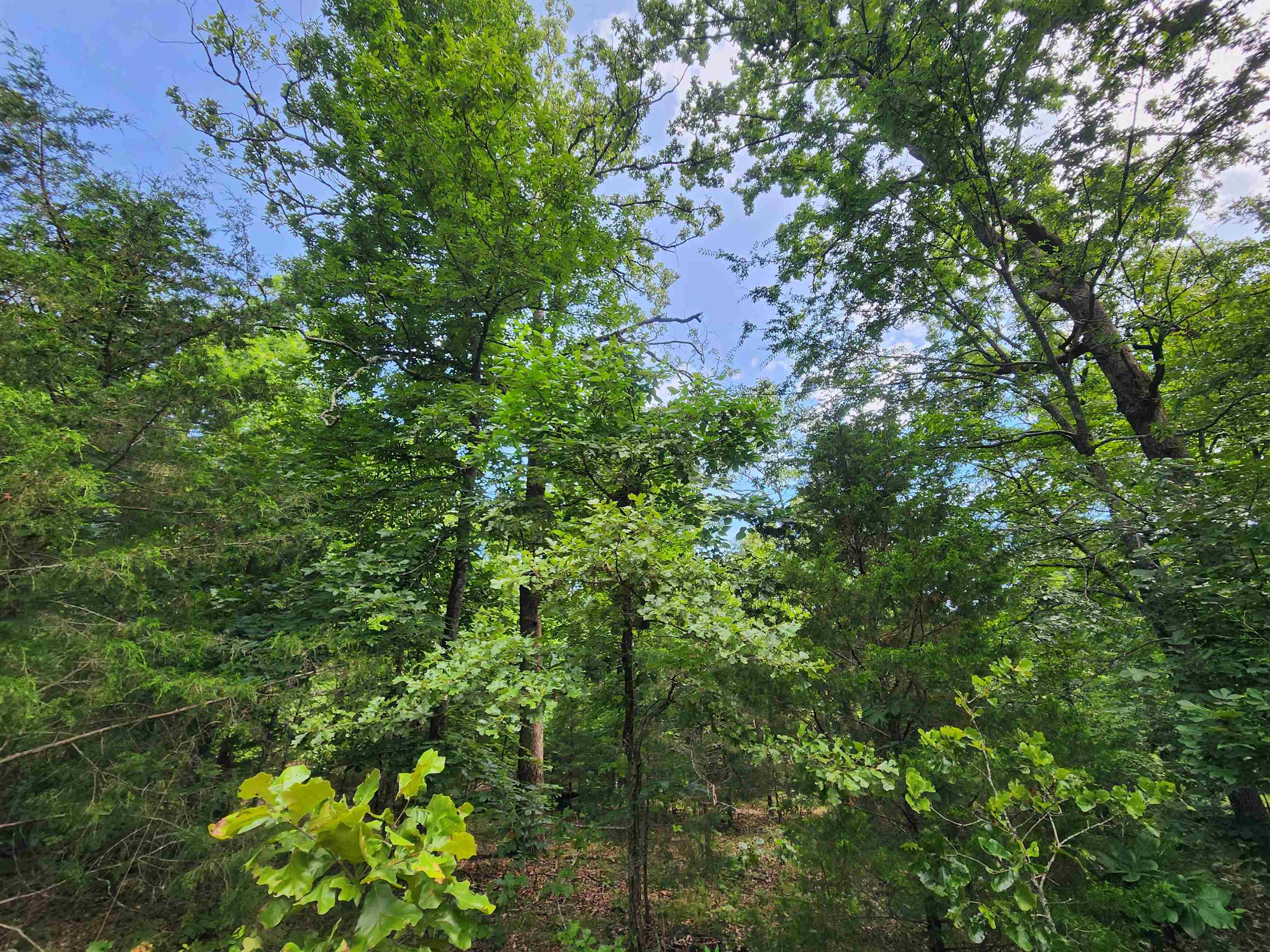 Photo 16 - Vacant Land for sale – L21B1  Coyotero   Cherokee Village, AR