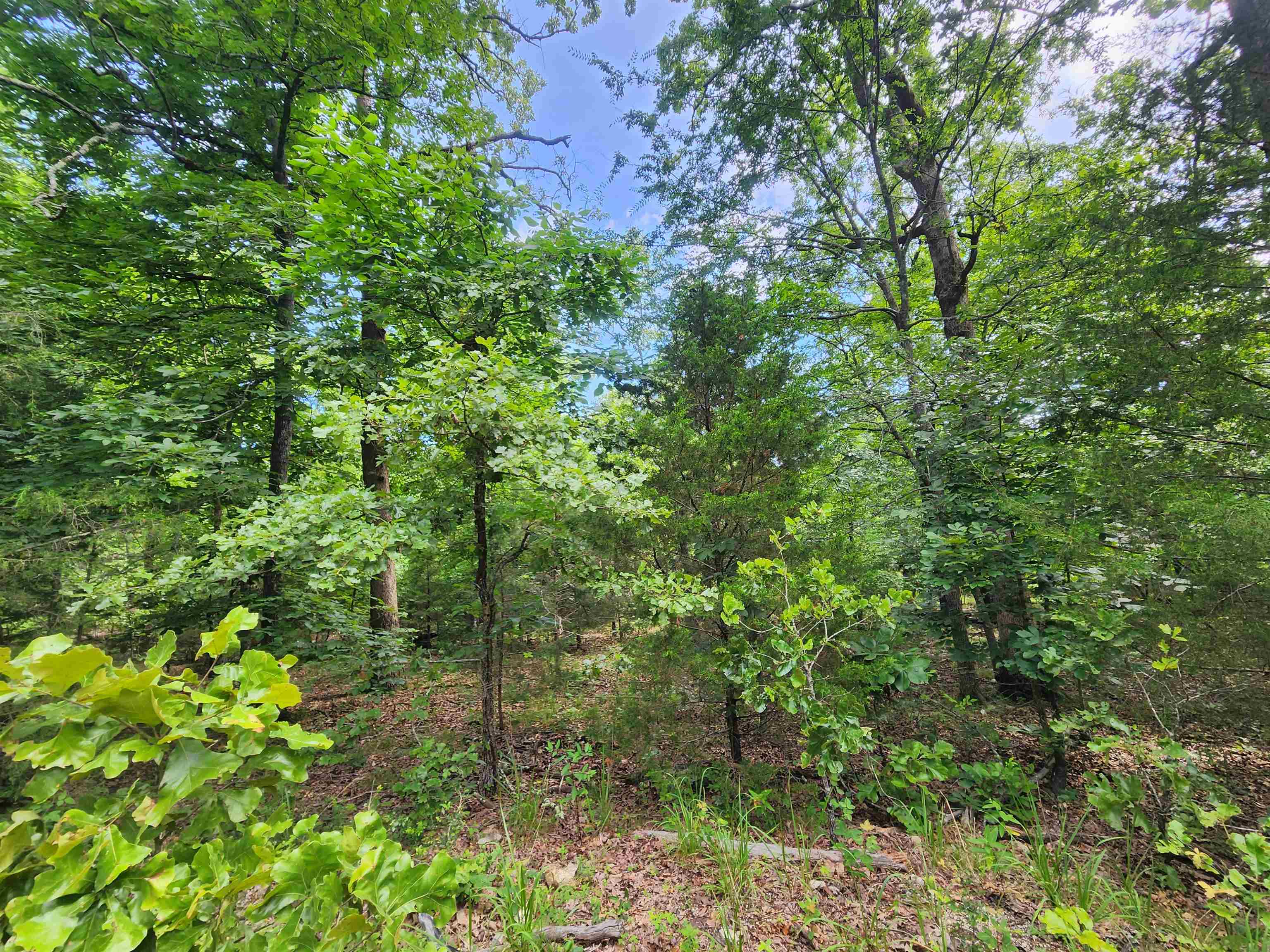 Photo 17 - Vacant Land for sale – L21B1  Coyotero   Cherokee Village, AR