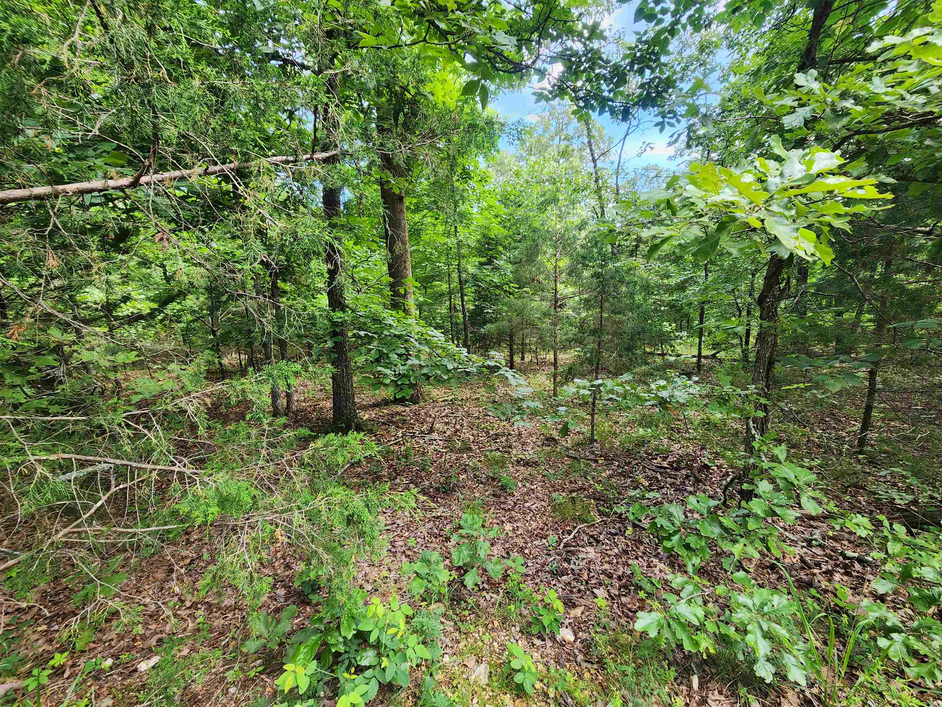 Photo 18 - Vacant Land for sale – L21B1  Coyotero   Cherokee Village, AR