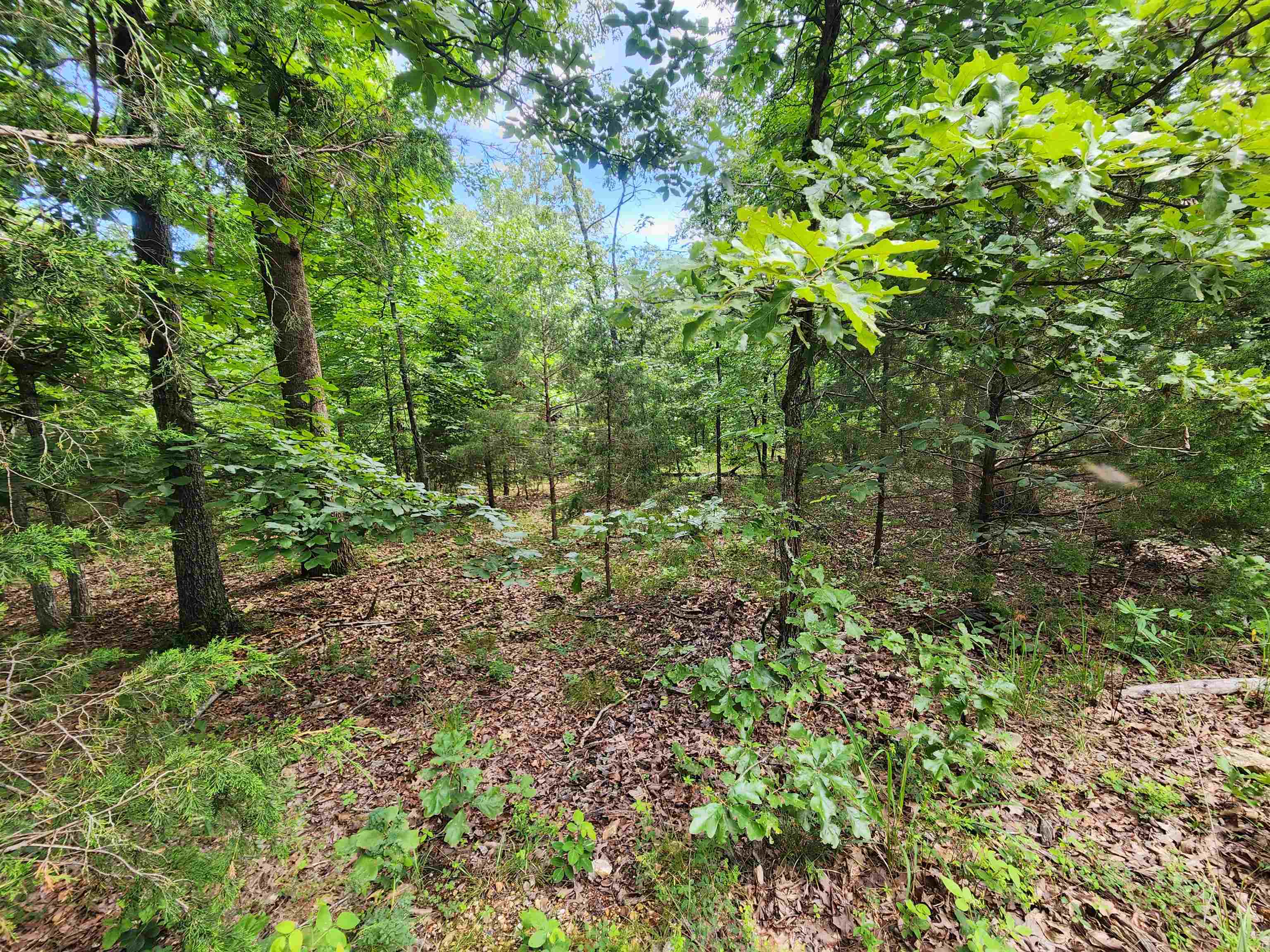 Photo 19 - Vacant Land for sale – L21B1  Coyotero   Cherokee Village, AR