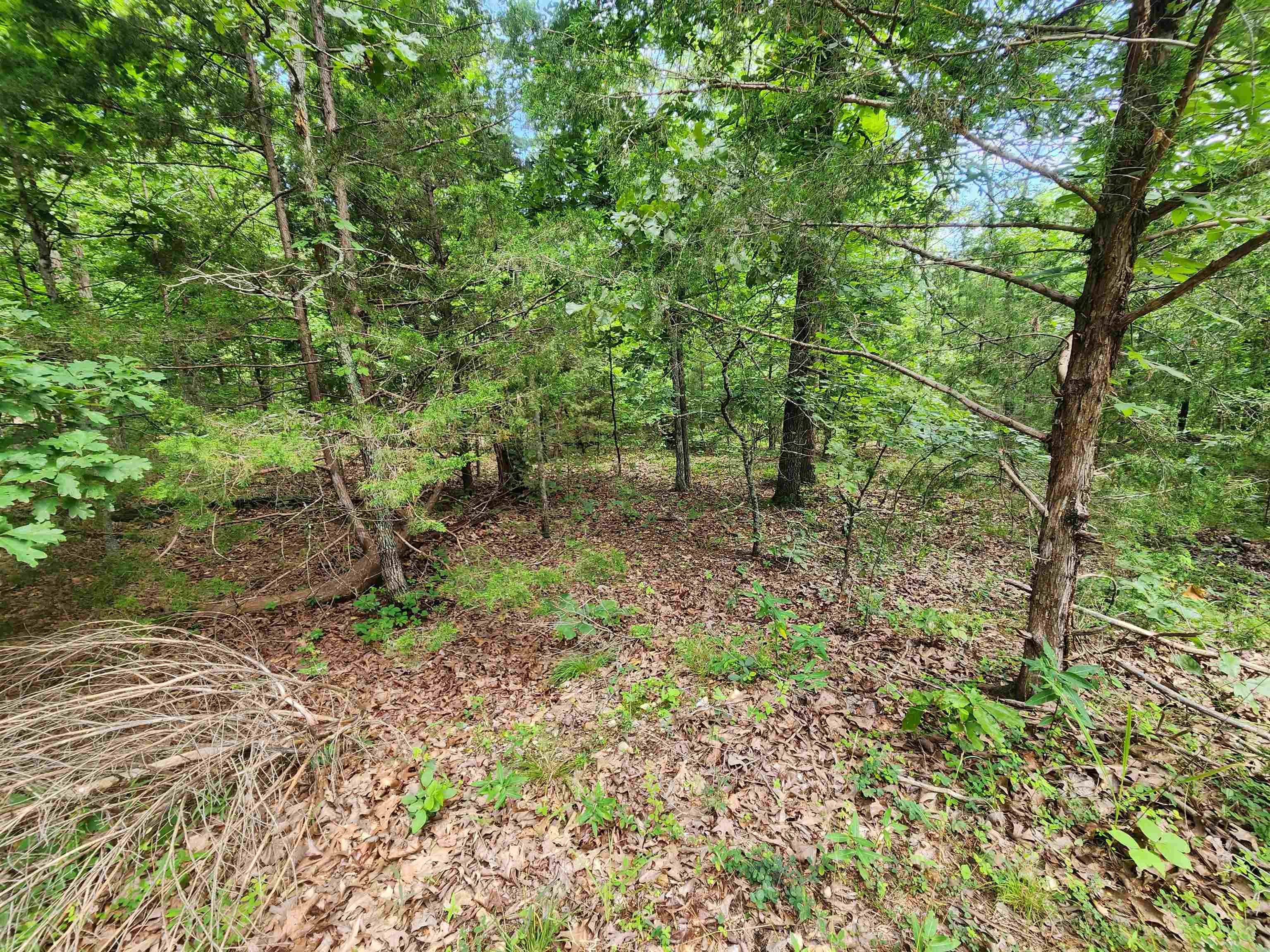 Photo 20 - Vacant Land for sale – L21B1  Coyotero   Cherokee Village, AR