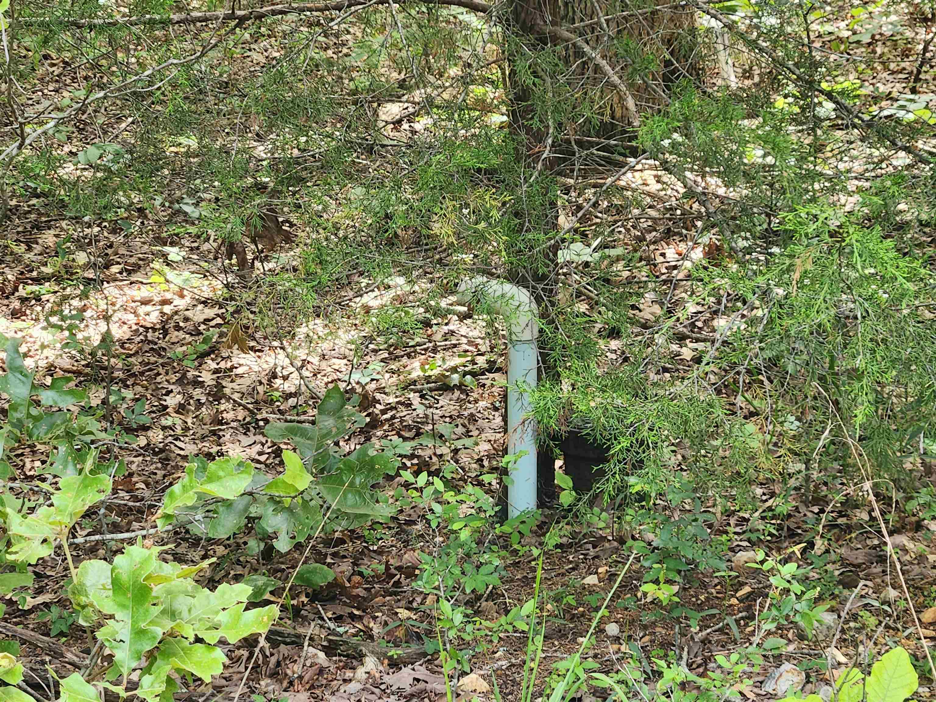 Photo 3 - Vacant Land for sale – L21B1  Coyotero   Cherokee Village, AR