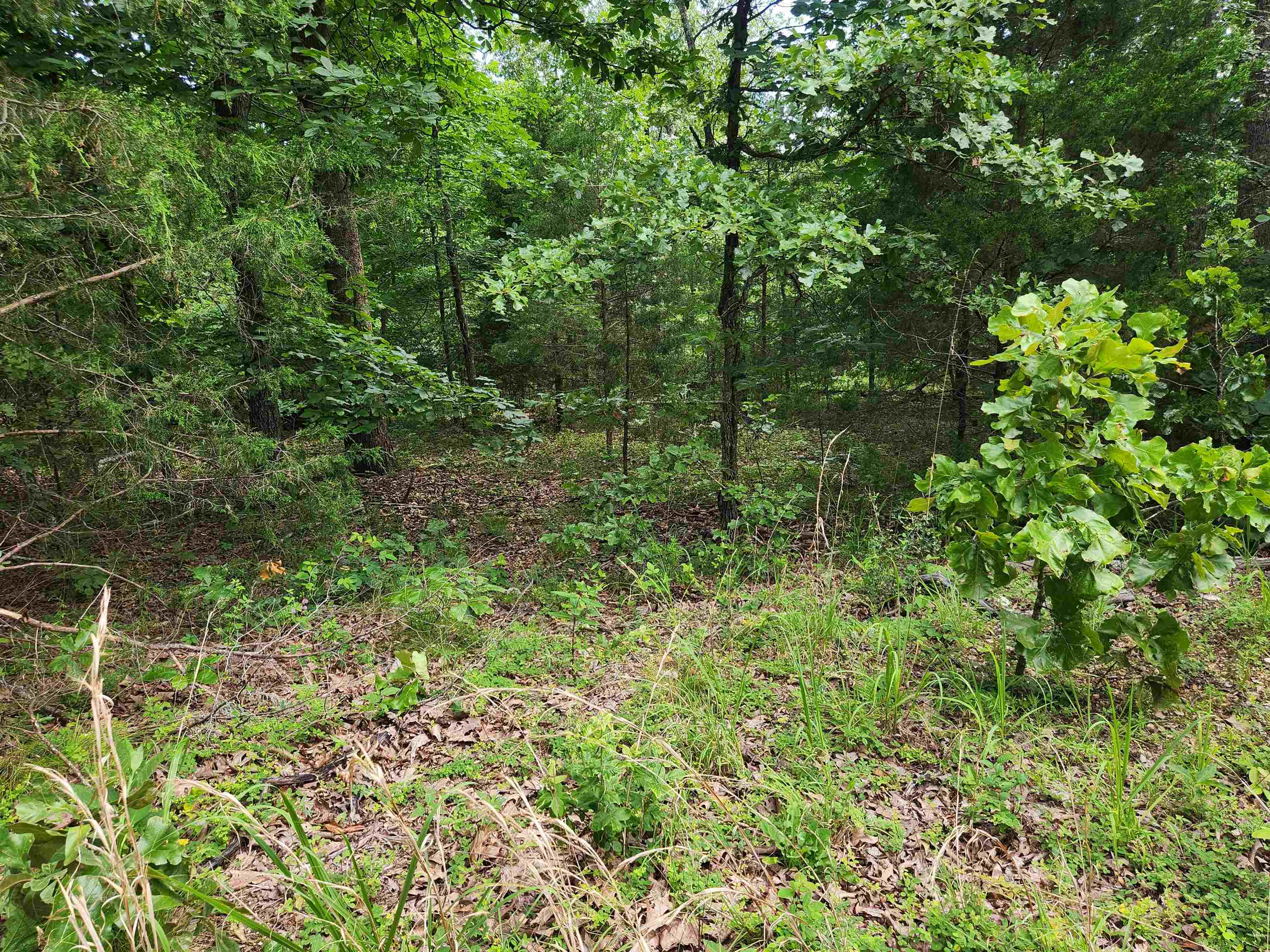 Photo 21 - Vacant Land for sale – L21B1  Coyotero   Cherokee Village, AR