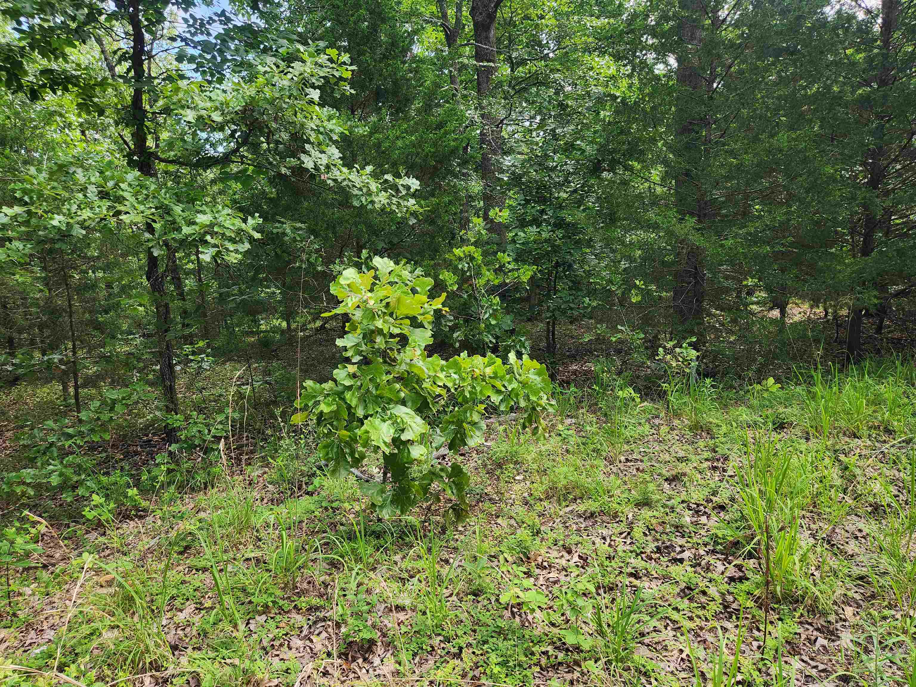 Photo 22 - Vacant Land for sale – L21B1  Coyotero   Cherokee Village, AR