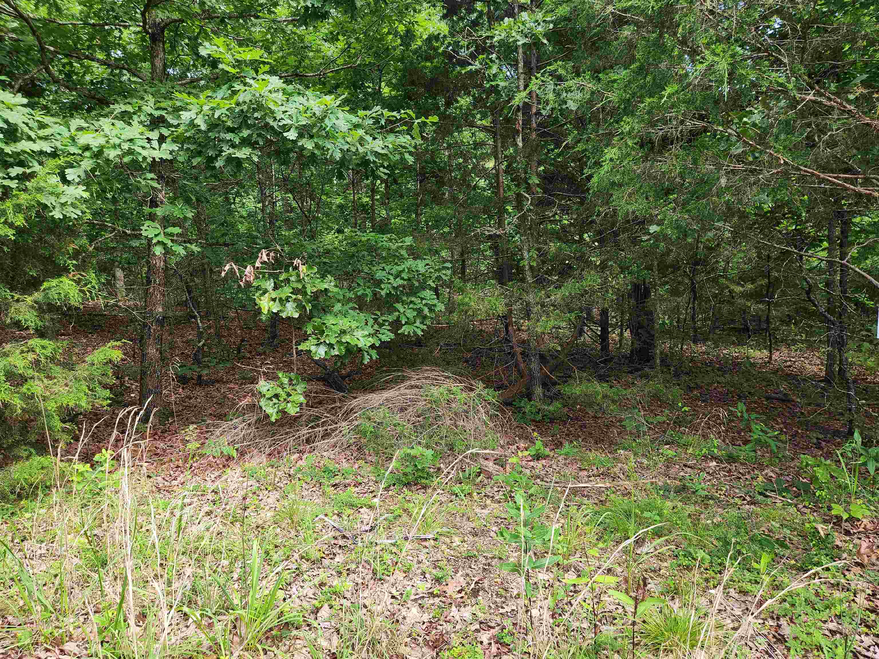 Photo 23 - Vacant Land for sale – L21B1  Coyotero   Cherokee Village, AR