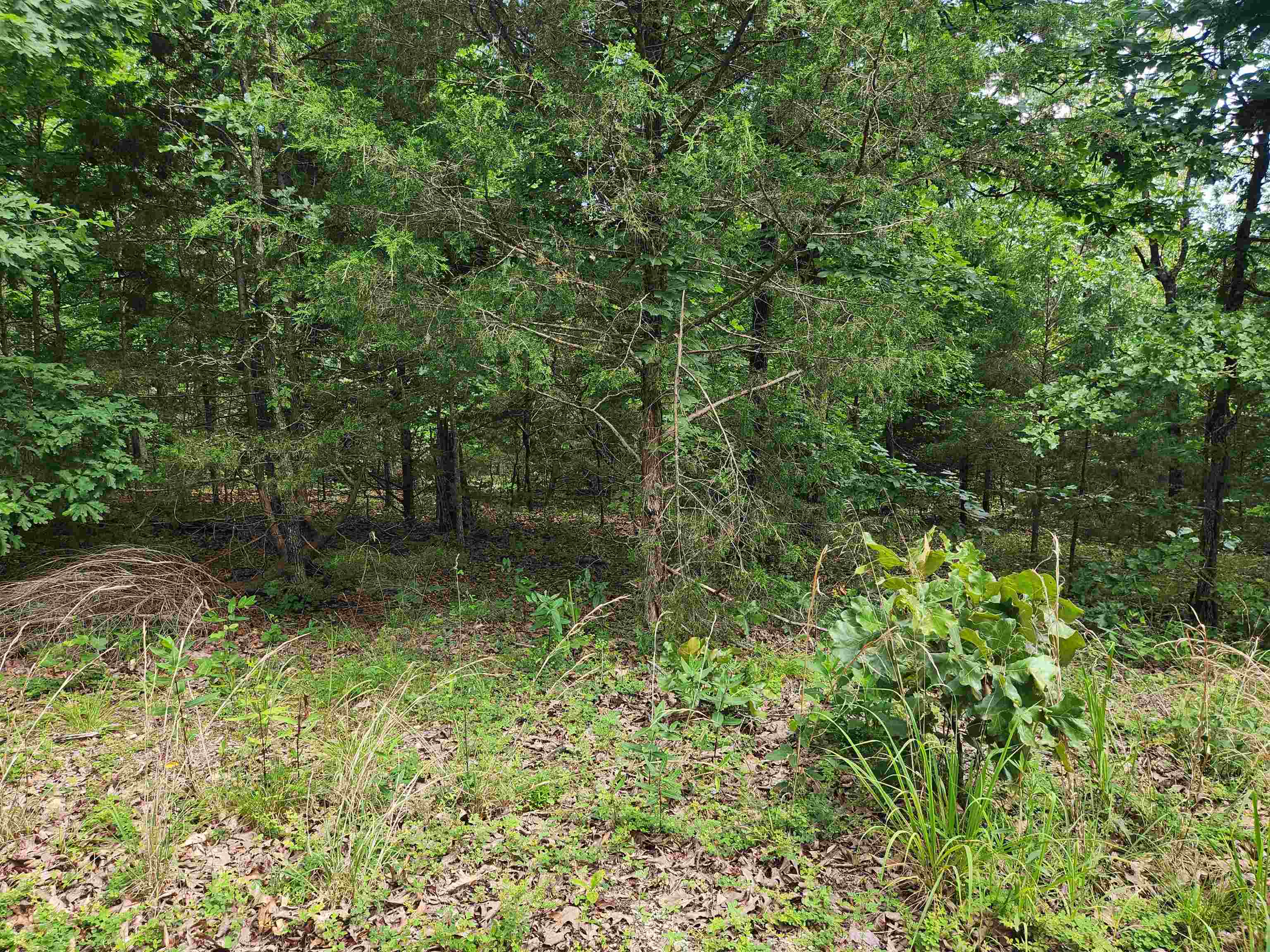 Photo 4 - Vacant Land for sale – L21B1  Coyotero   Cherokee Village, AR
