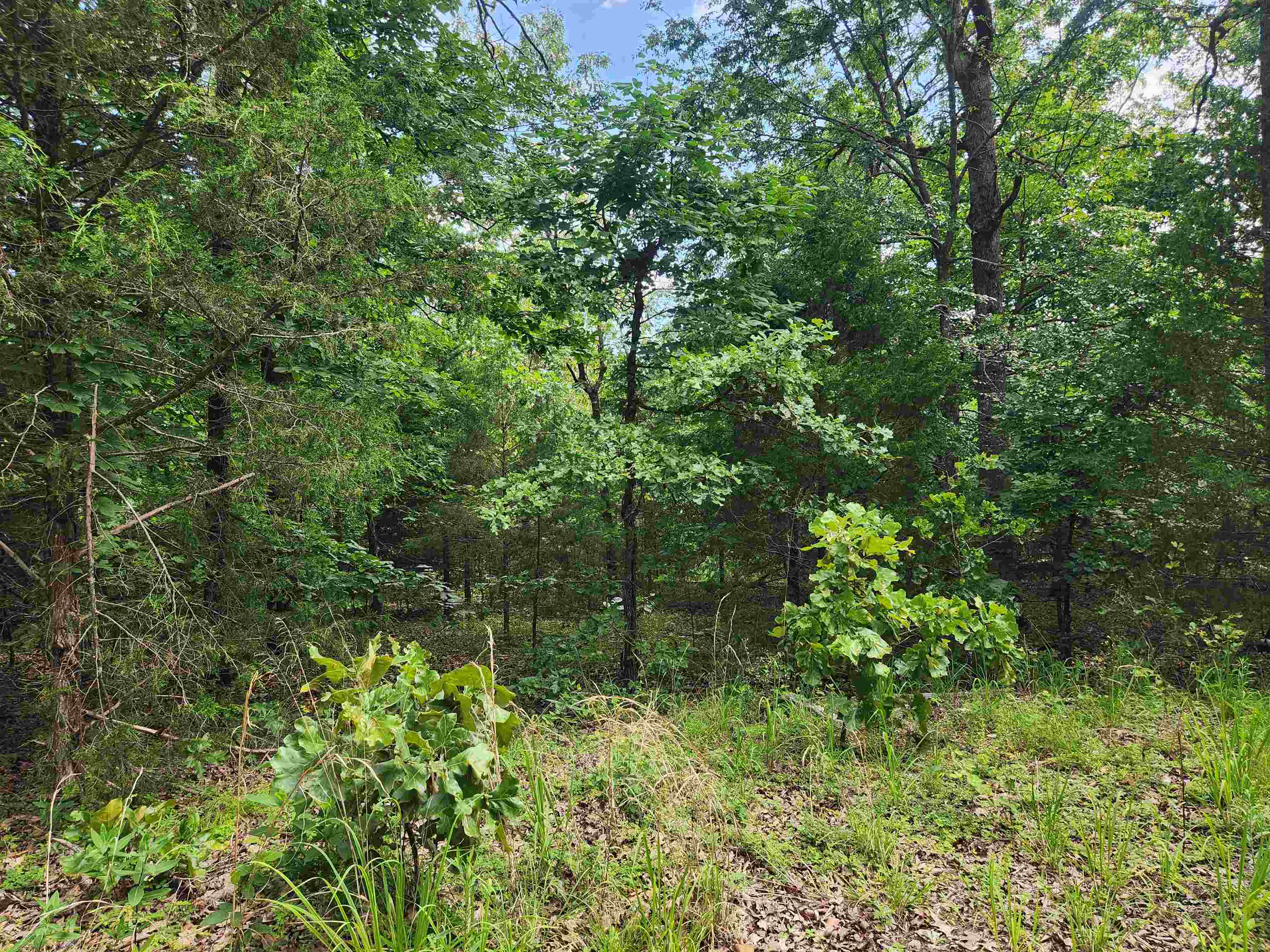 Photo 5 - Vacant Land for sale – L21B1  Coyotero   Cherokee Village, AR