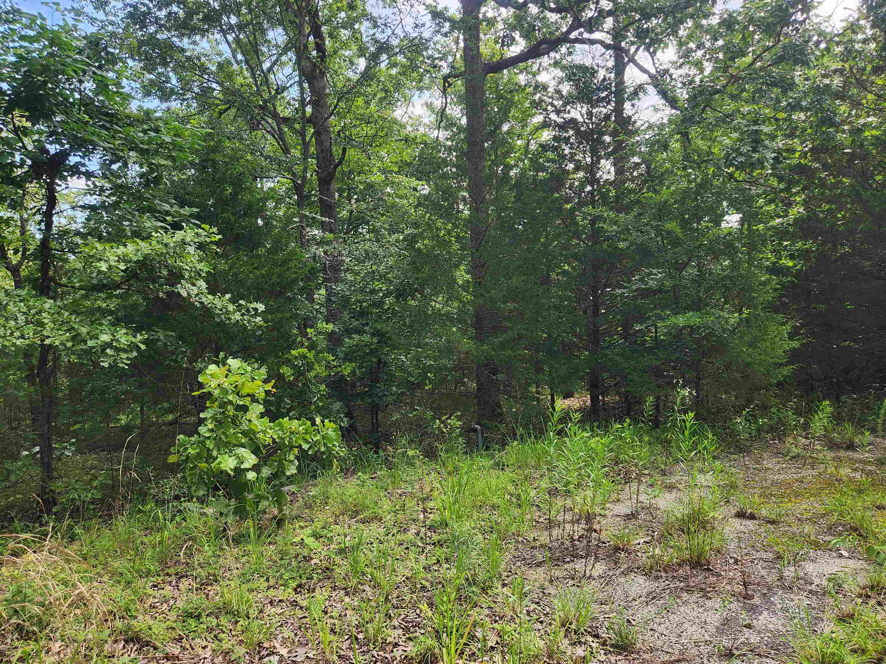 Photo 6 - Vacant Land for sale – L21B1  Coyotero   Cherokee Village, AR